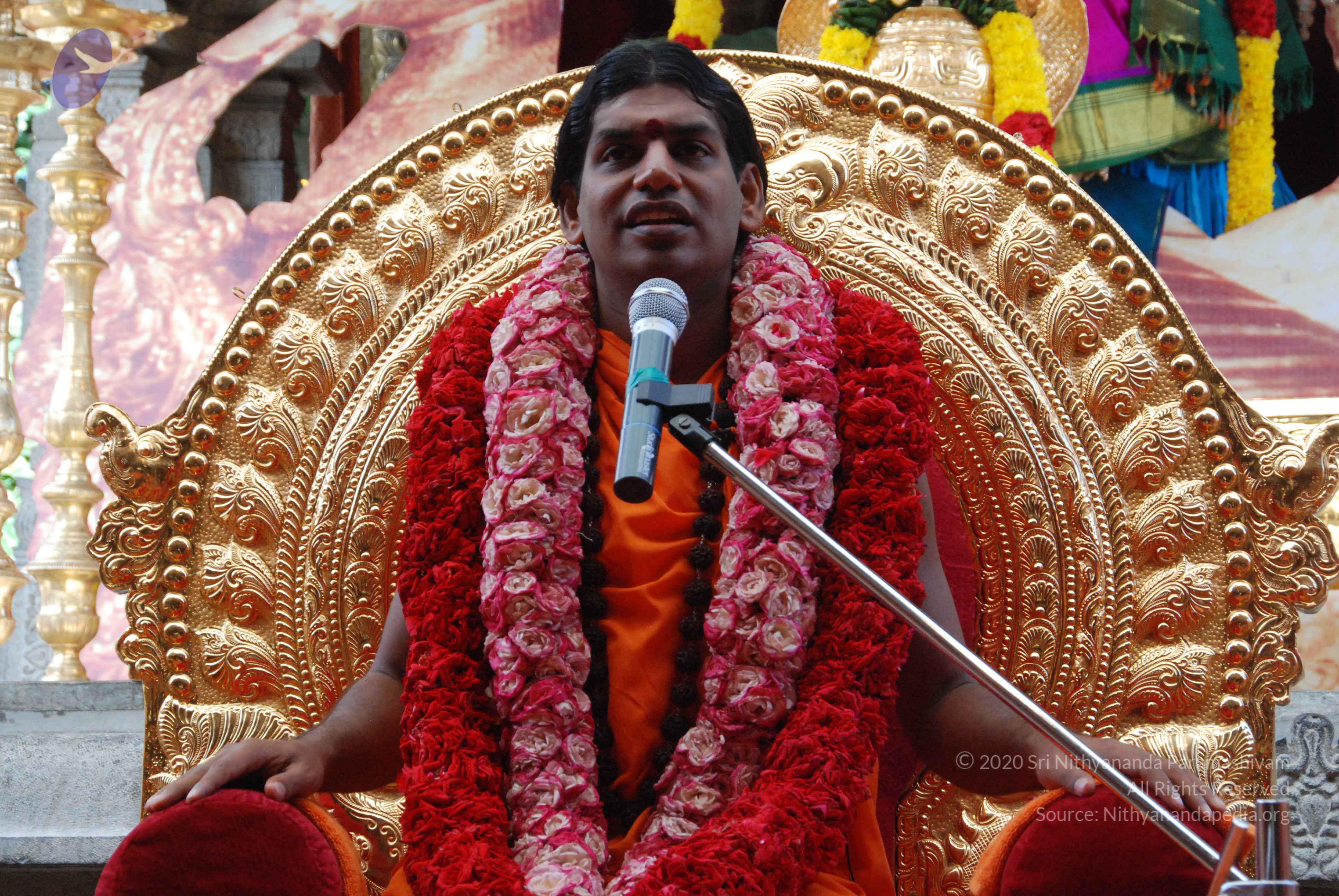 20100821_Photo_1039_DSC_6169_CMP_WM