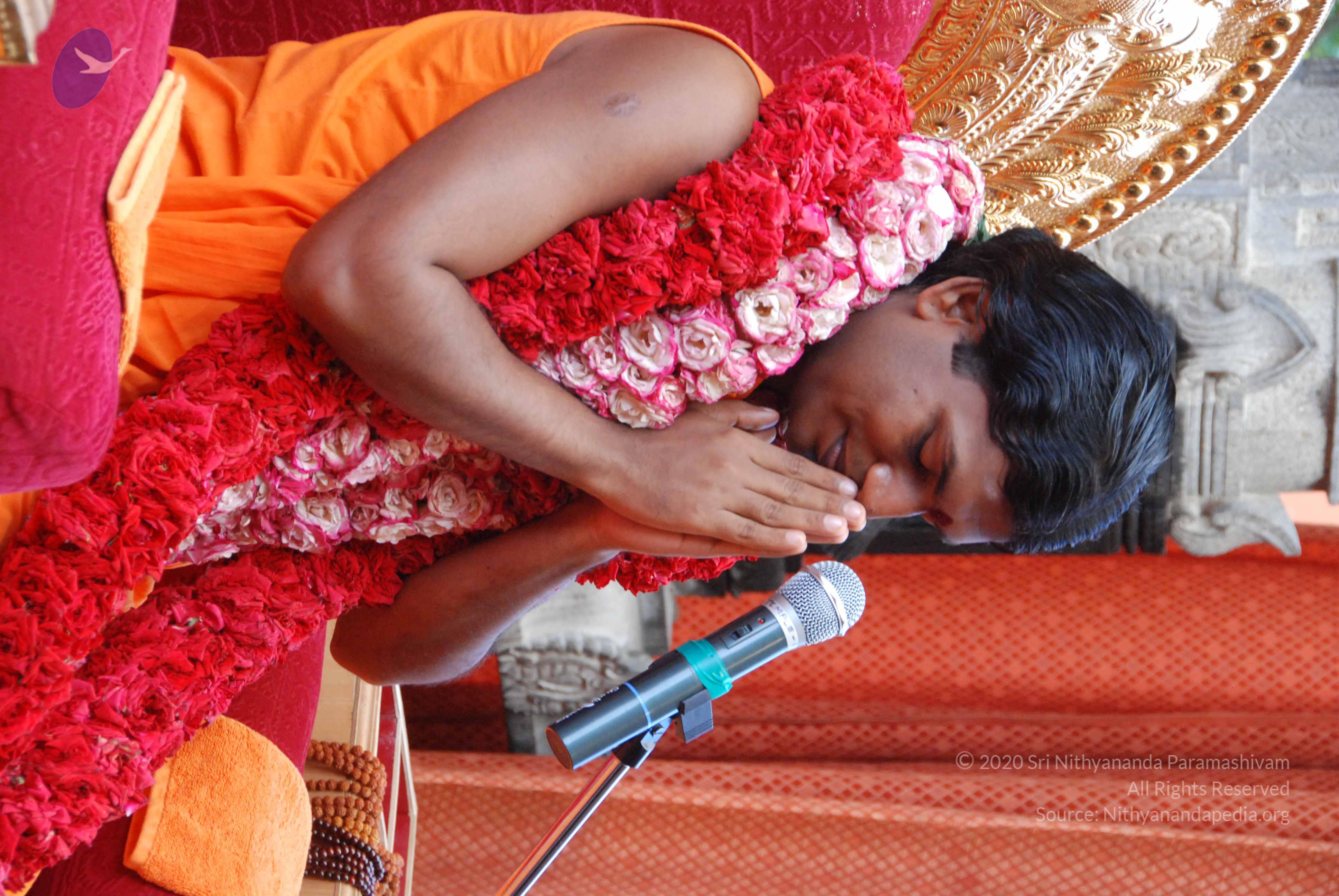 20100821_Photo_1042_DSC_6191_CMP_WM