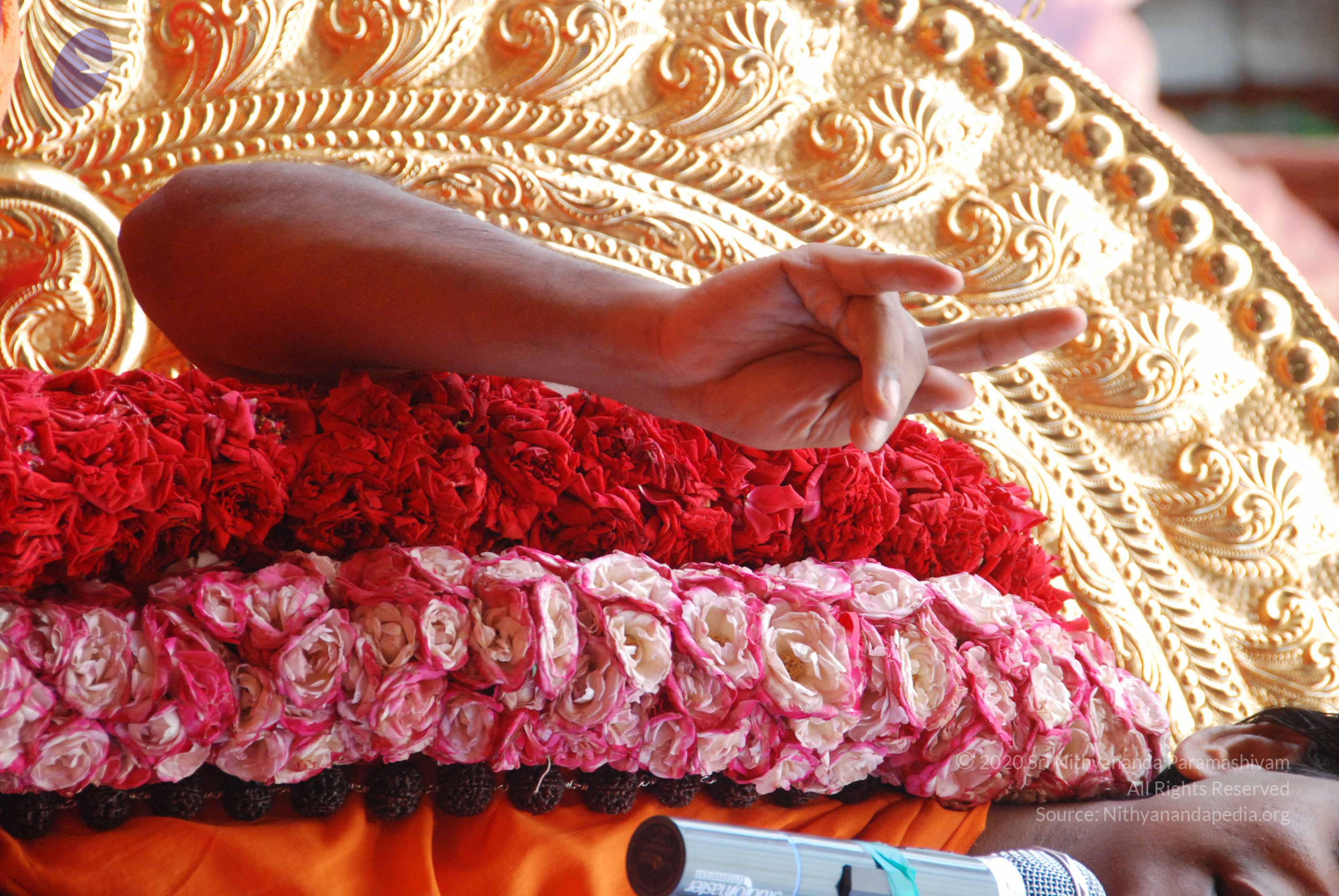 20100821_Photo_1055_DSC_6177_CMP_WM