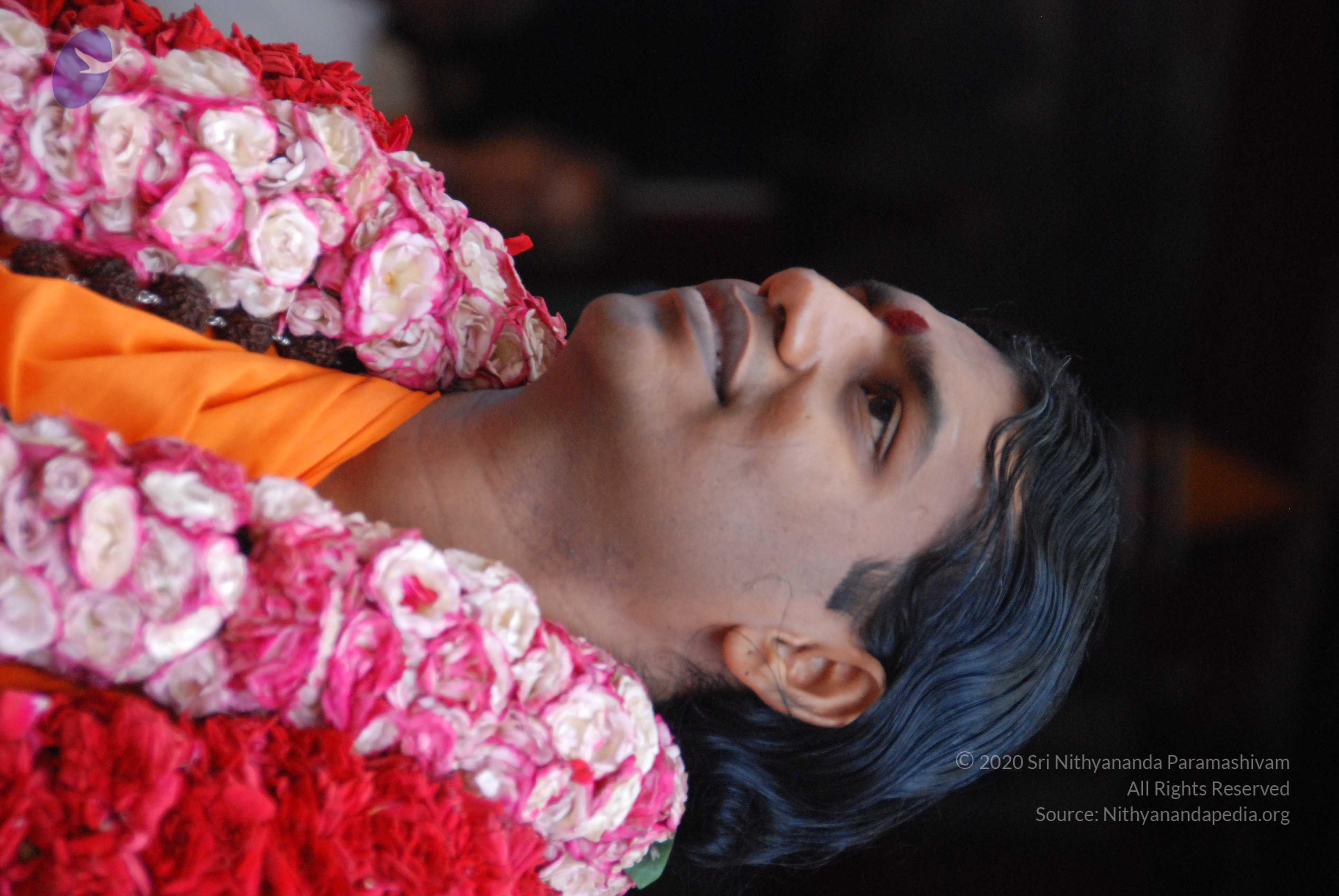 20100821_Photo_1003_DSC_6225_CMP_WM