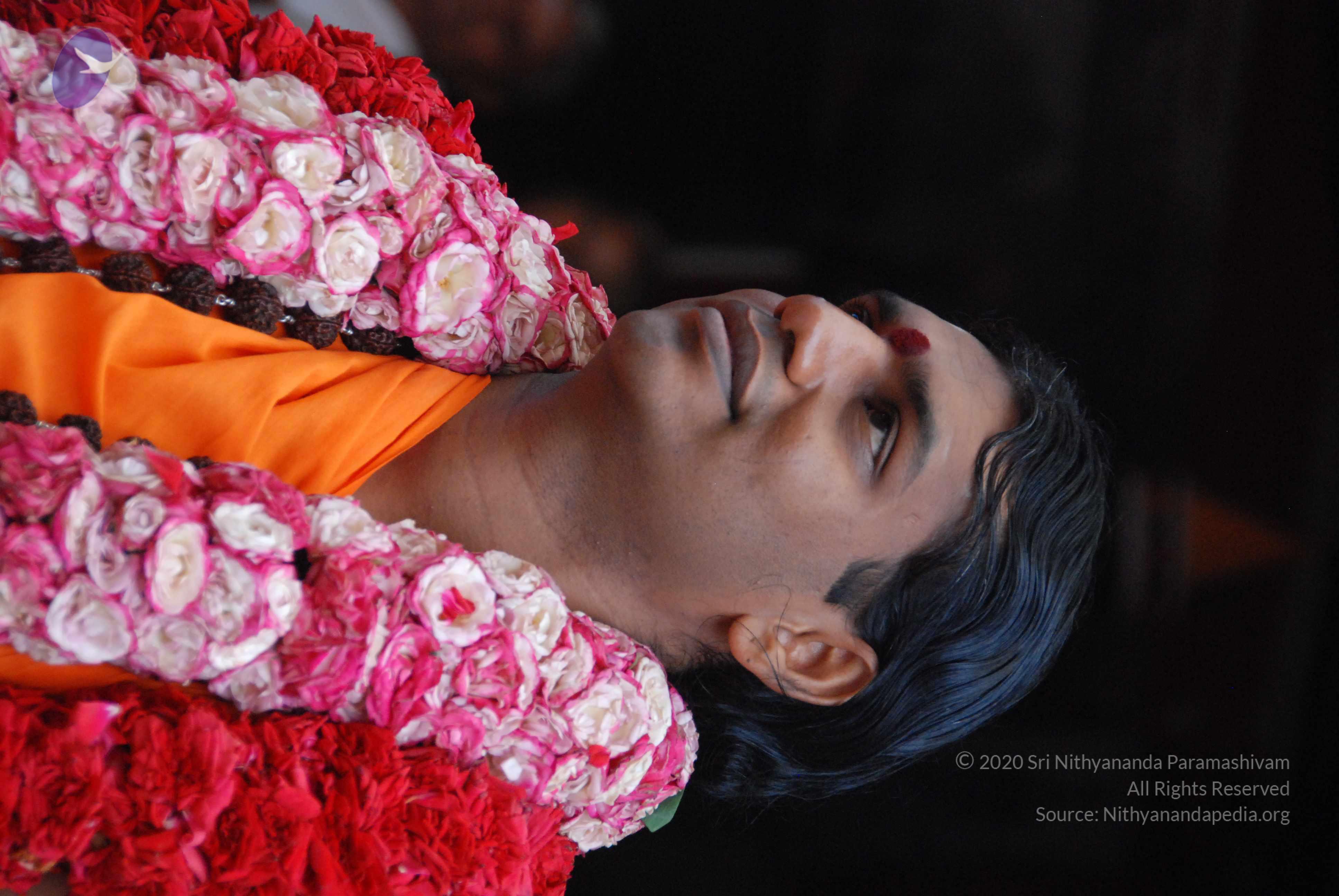 20100821_Photo_1006_DSC_6231_CMP_WM