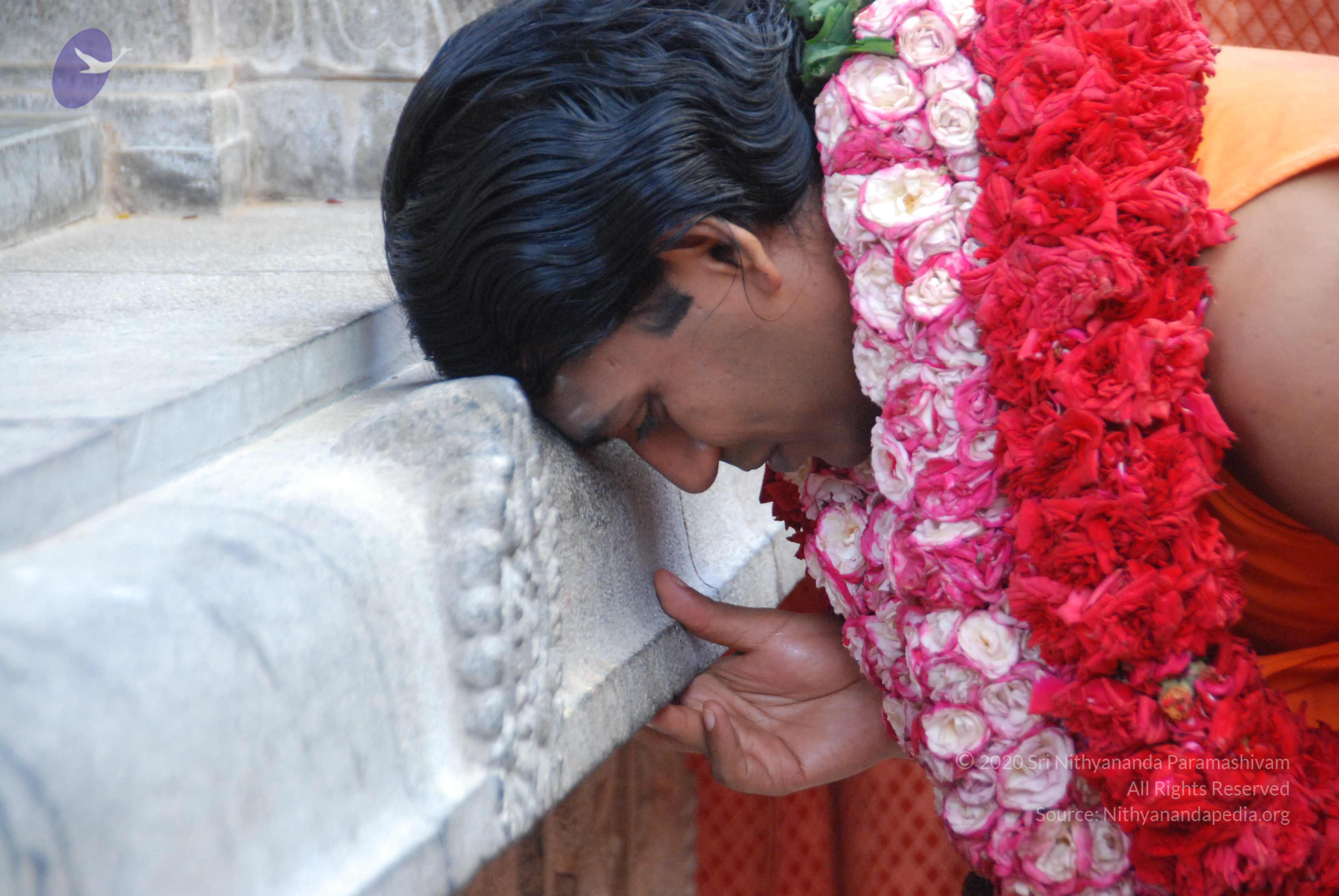 20100821_Photo_1008_DSC_6219_CMP_WM