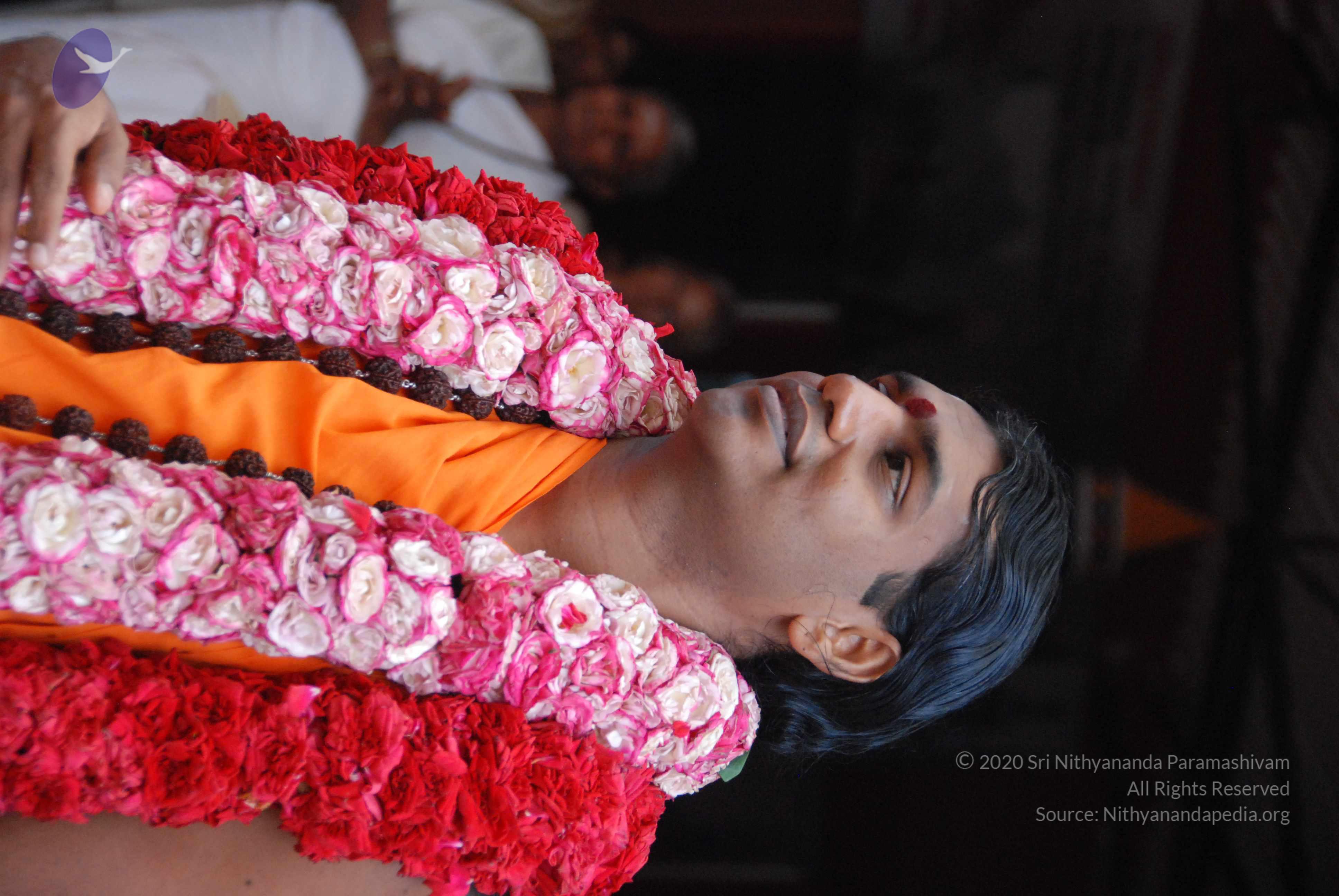 20100821_Photo_1009_DSC_6232_CMP_WM