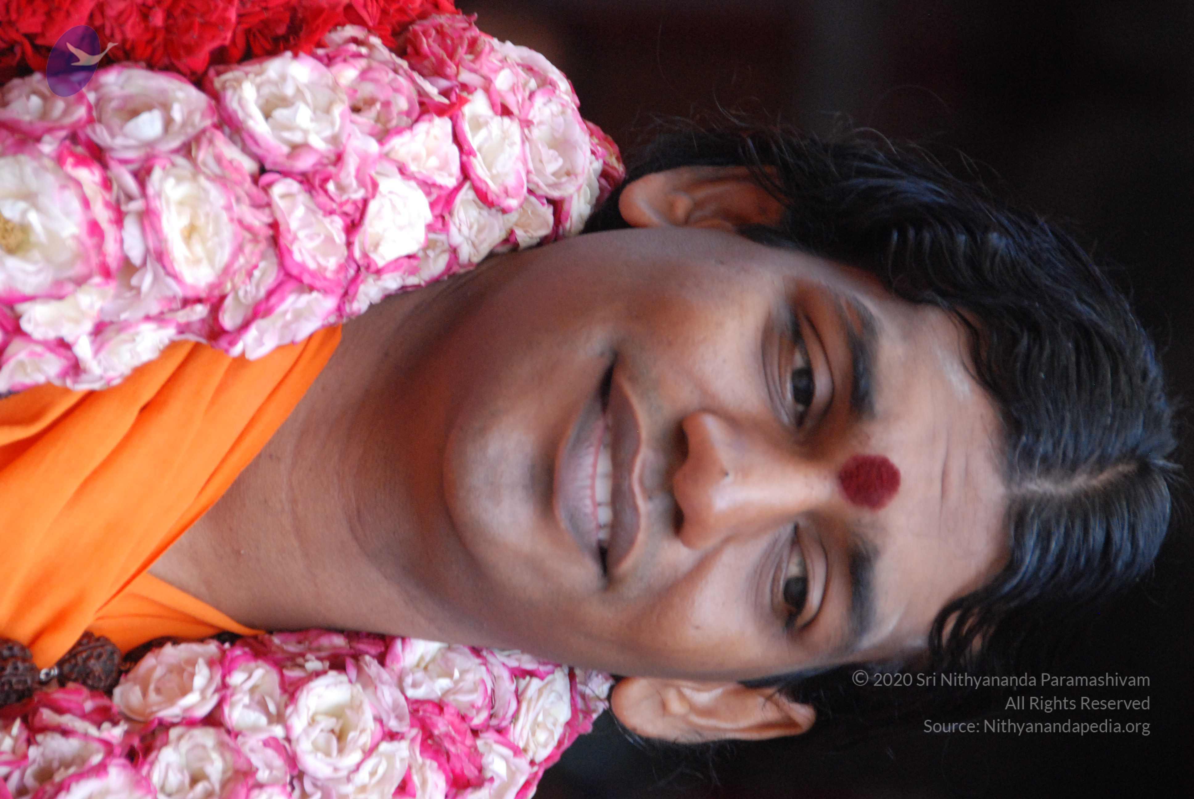 20100821_Photo_1010_DSC_6223_CMP_WM