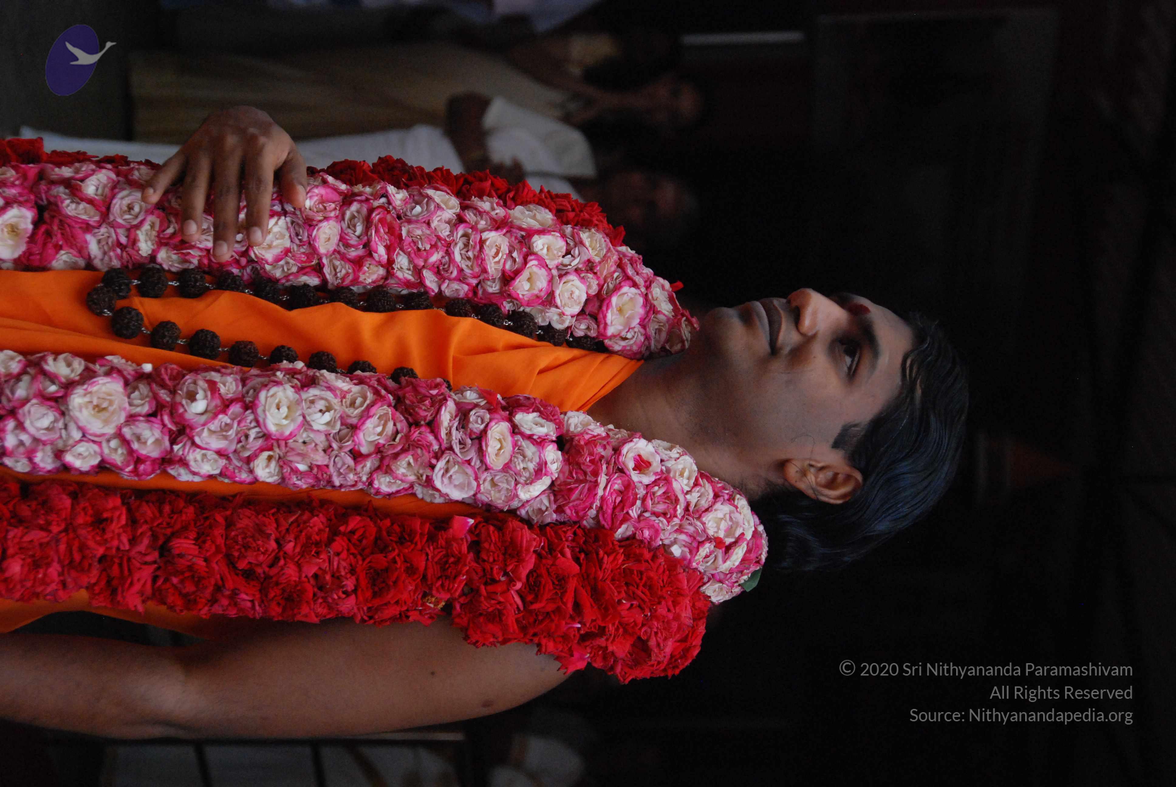 20100821_Photo_1011_DSC_6226_CMP_WM