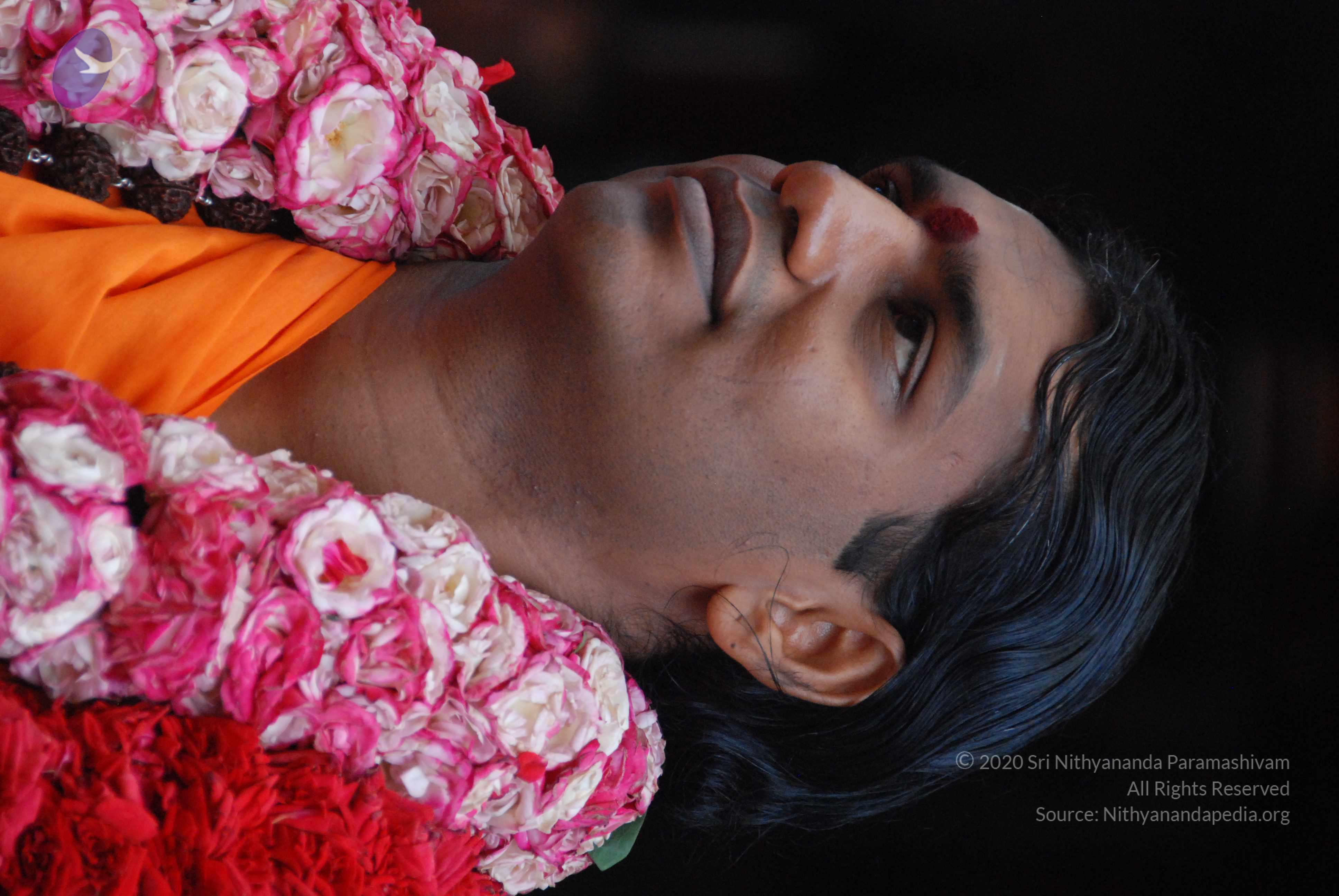 20100821_Photo_1012_DSC_6230_CMP_WM