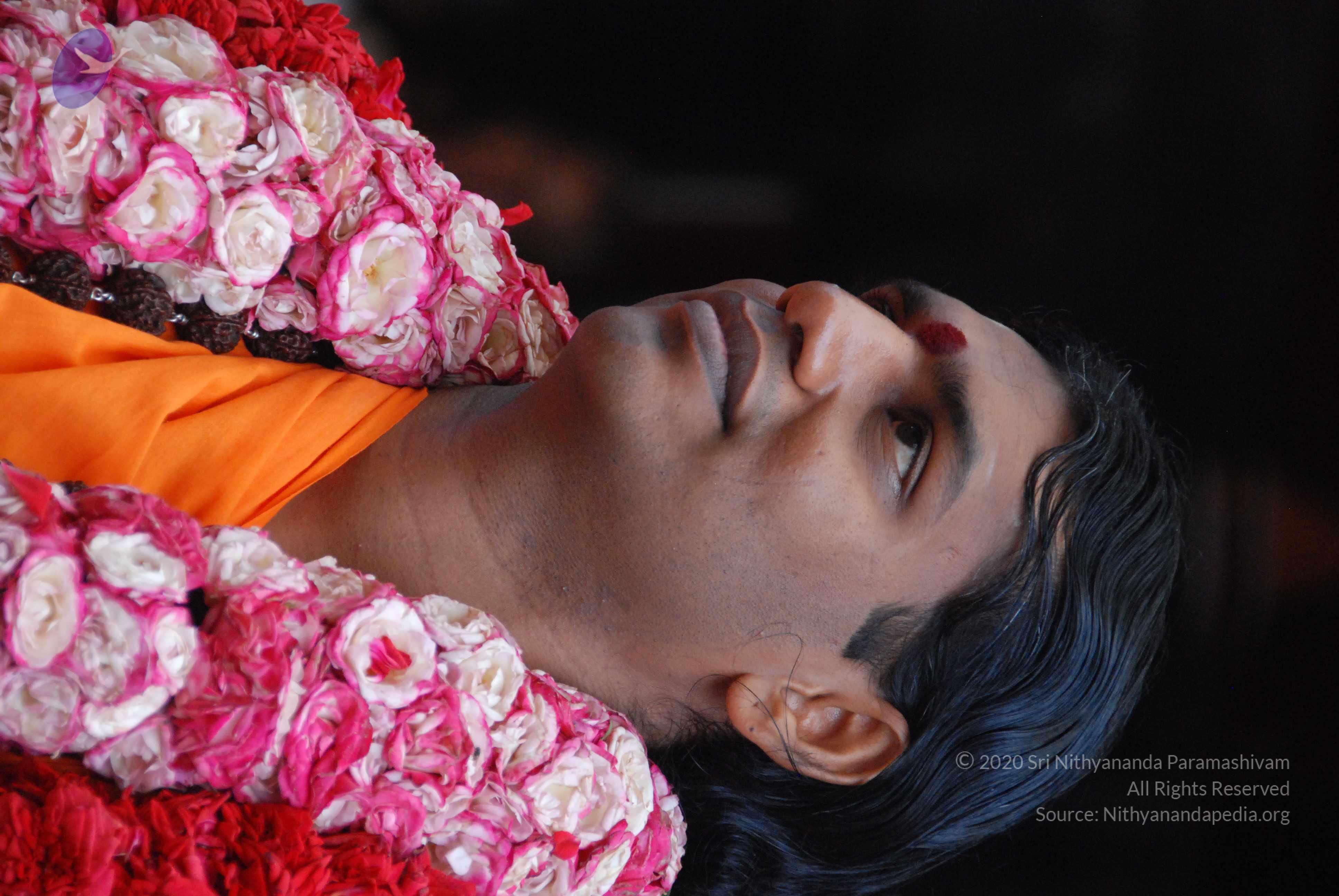 20100821_Photo_1016_DSC_6229_CMP_WM