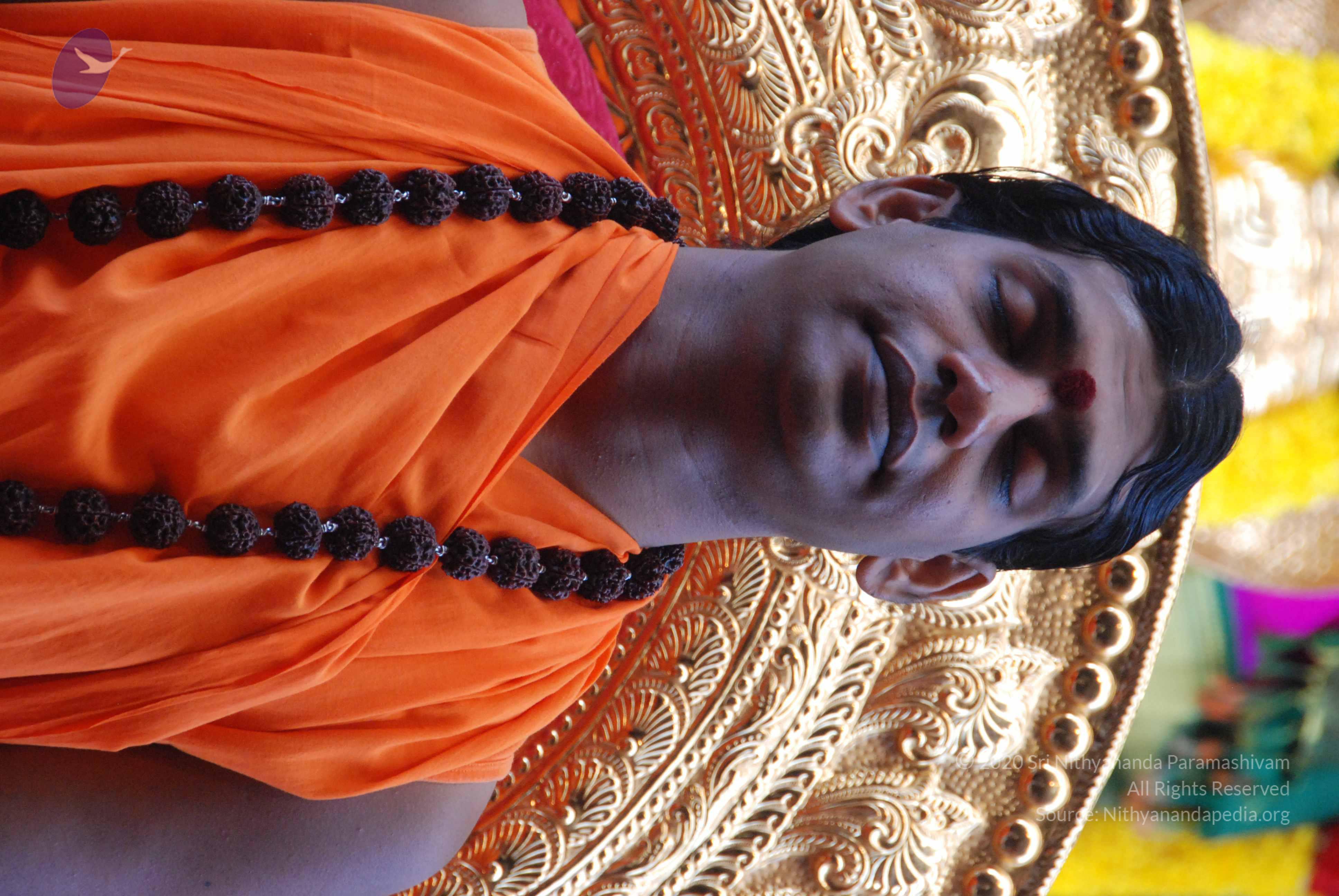 20100821_Photo_1000_DSC_6046_CMP_WM