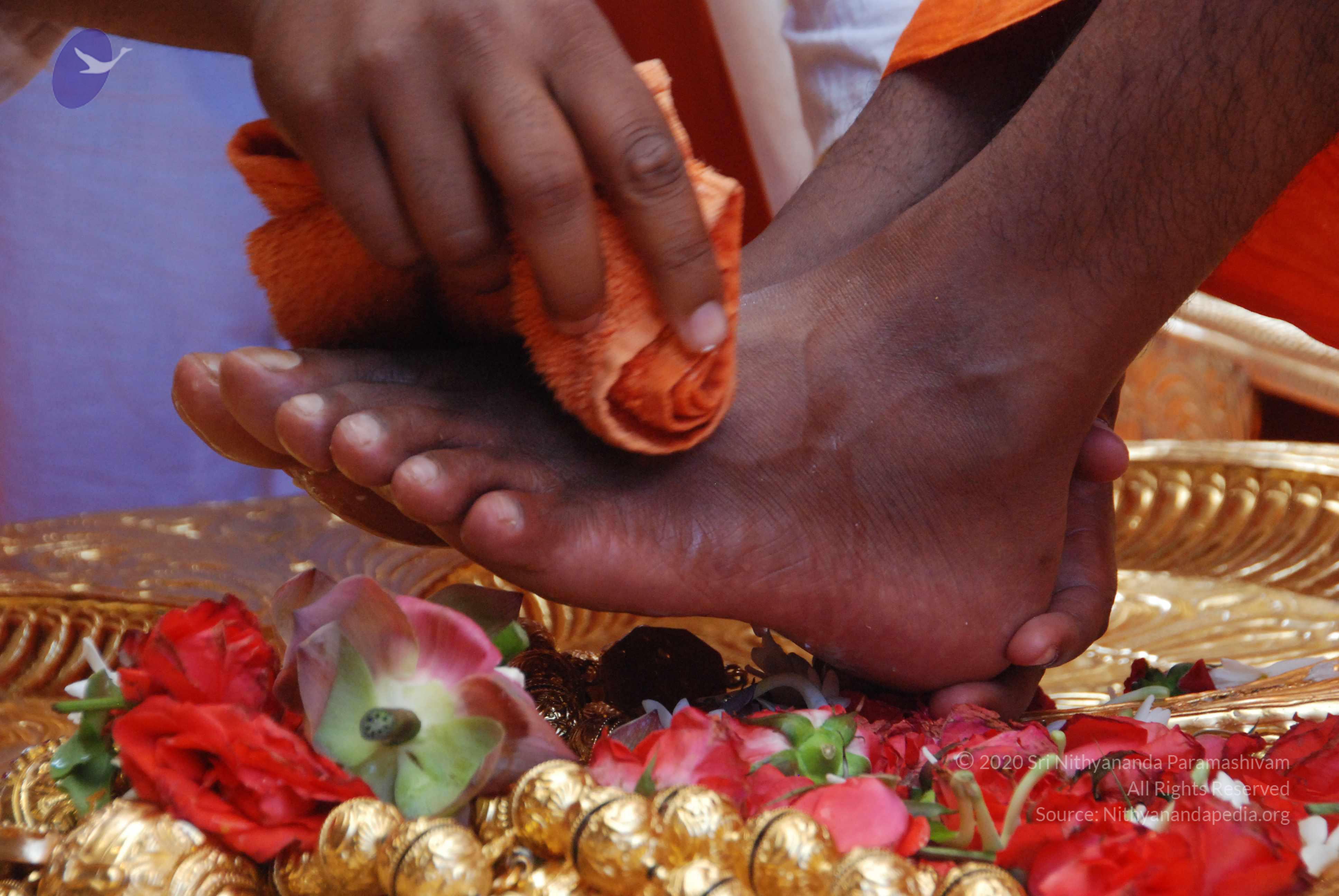 20100821_Photo_1002_DSC_6130_CMP_WM