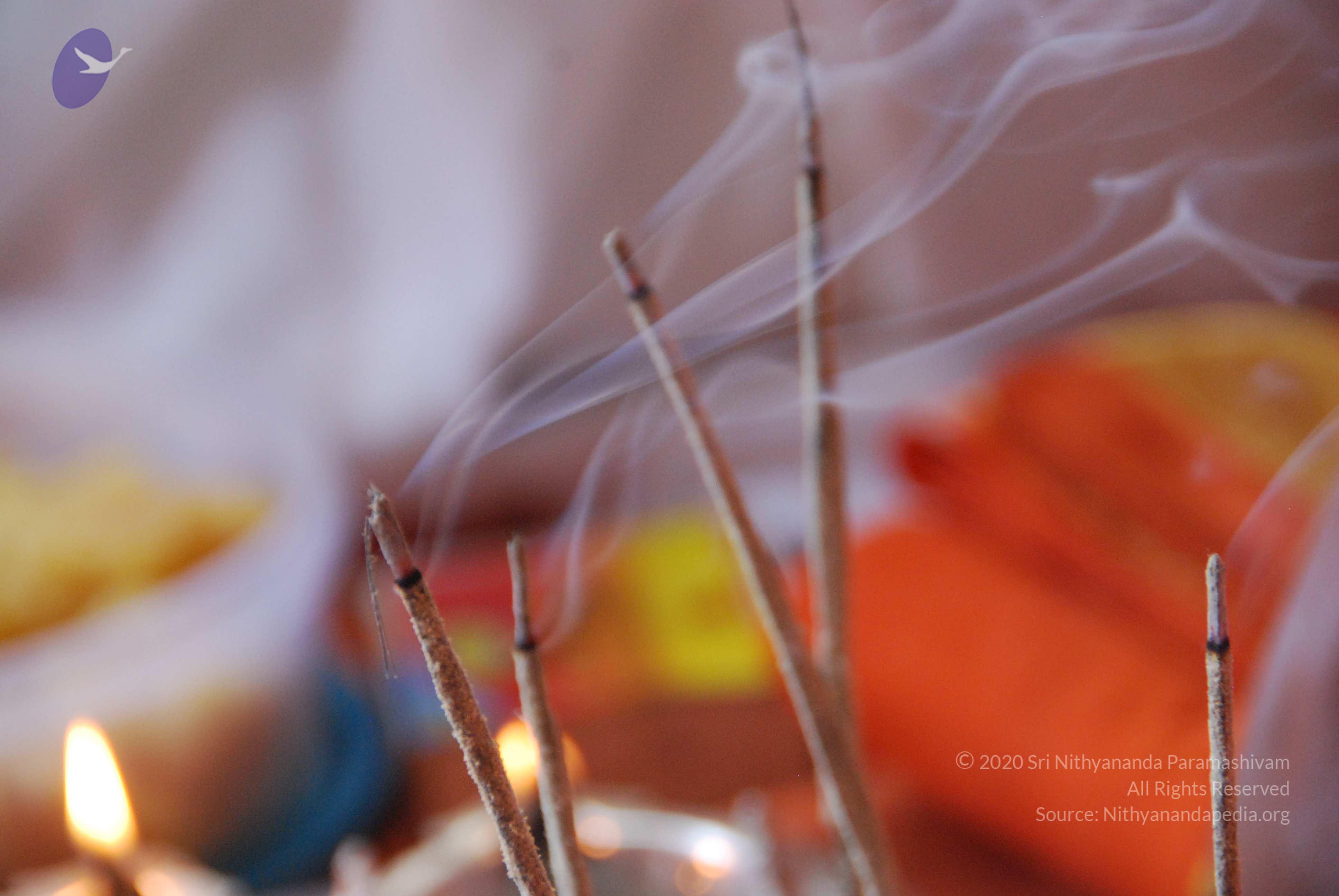 20100821_Photo_1007_DSC_6057_CMP_WM