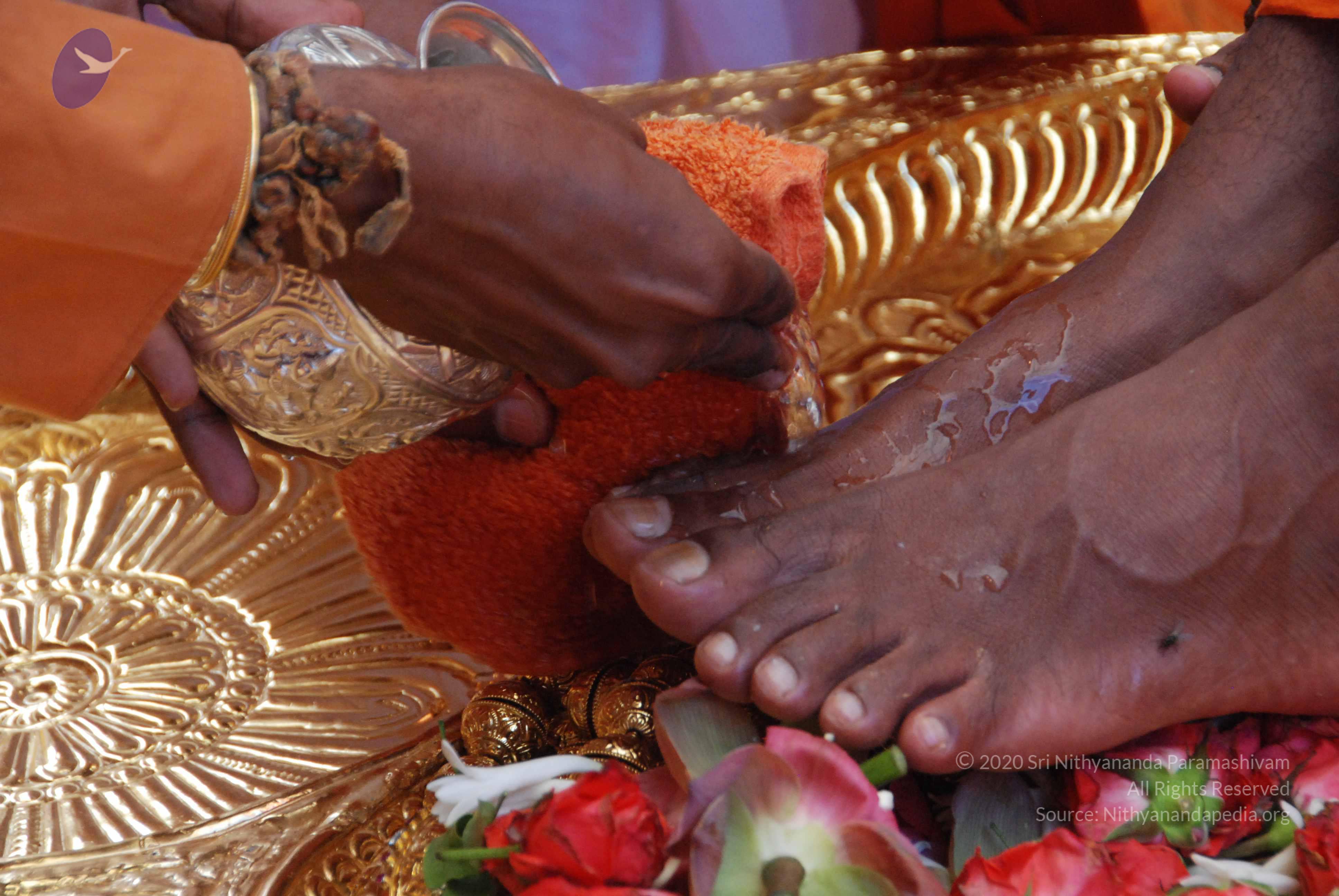 20100821_Photo_1009_DSC_6124_CMP_WM