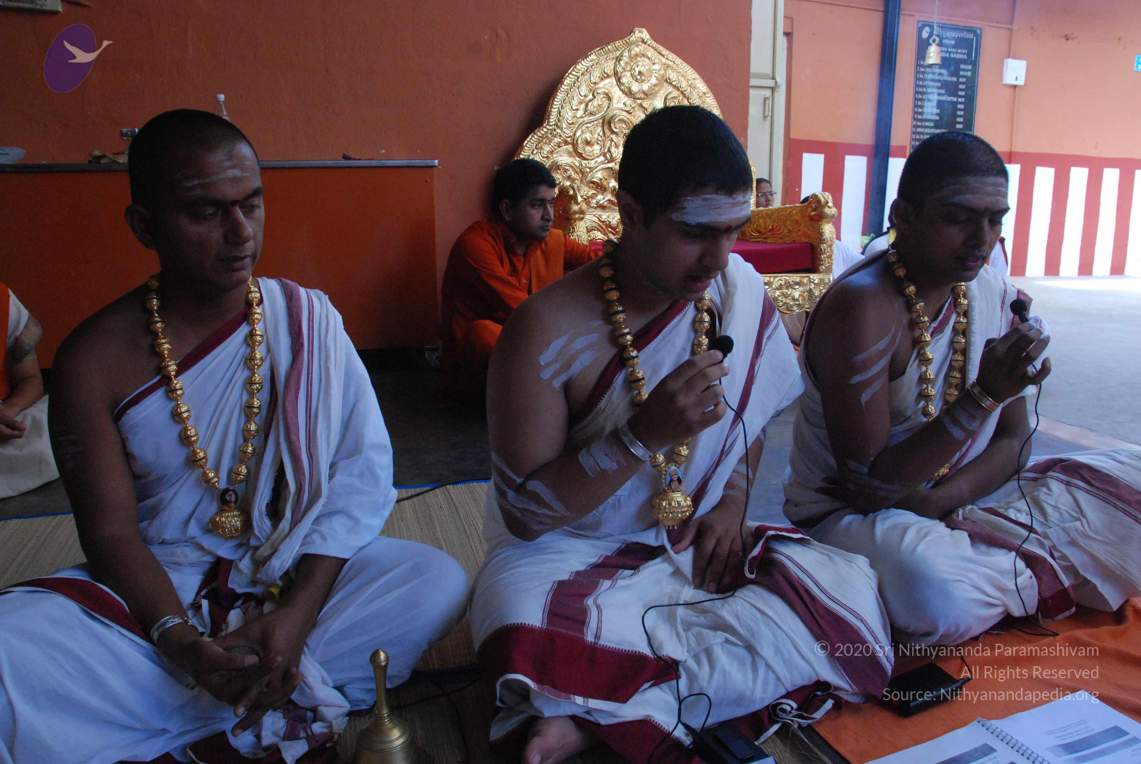 20100821_Photo_1012_DSC_6052_CMP_WM