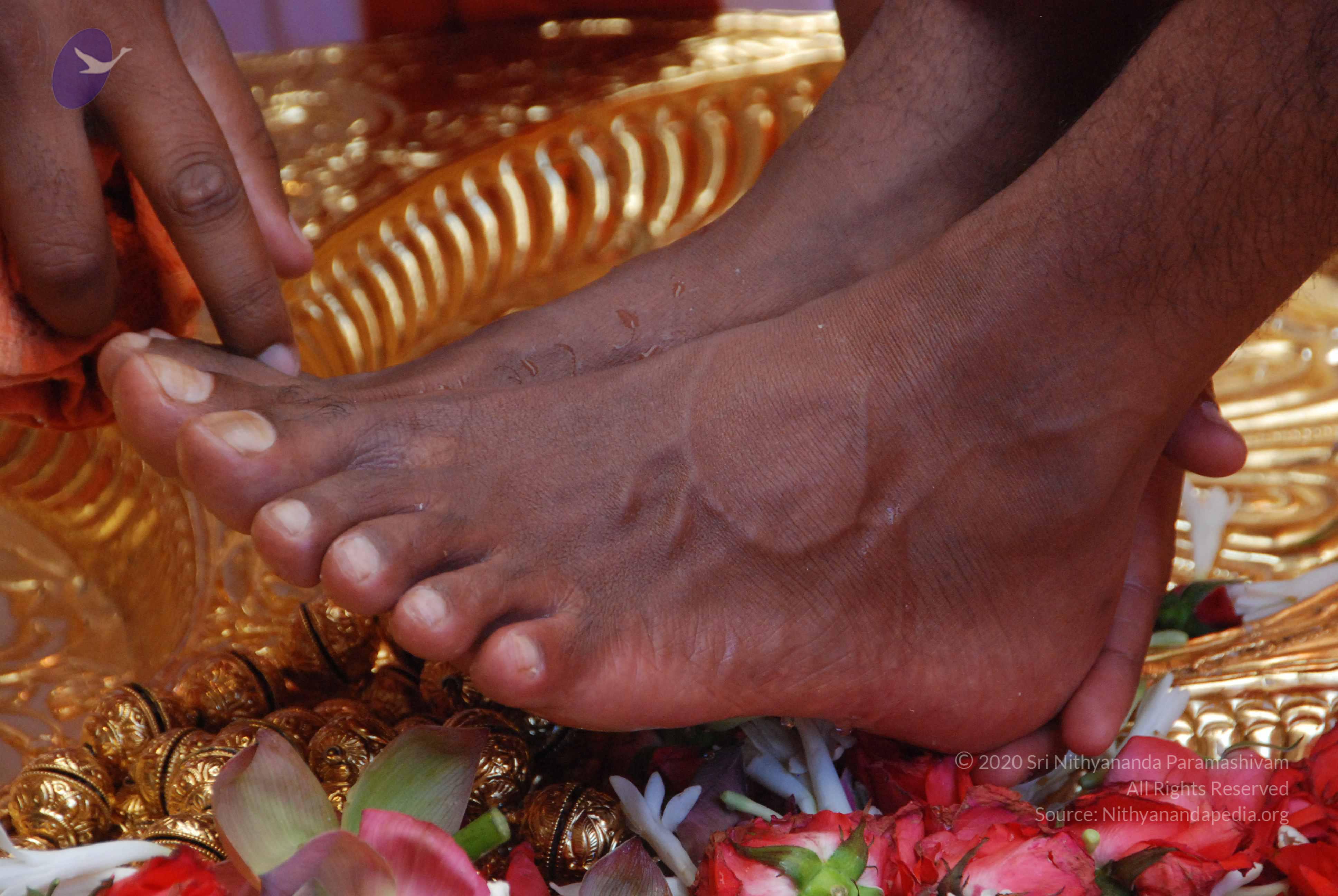 20100821_Photo_1014_DSC_6129_CMP_WM