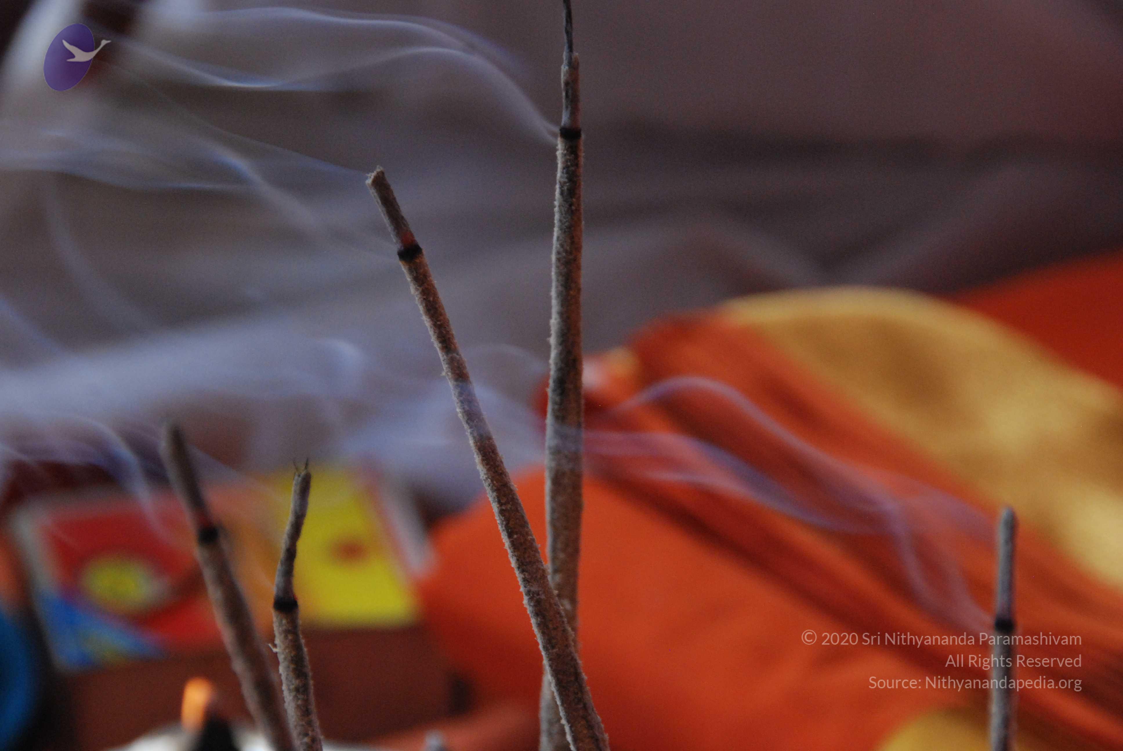 20100821_Photo_1023_DSC_6058_CMP_WM