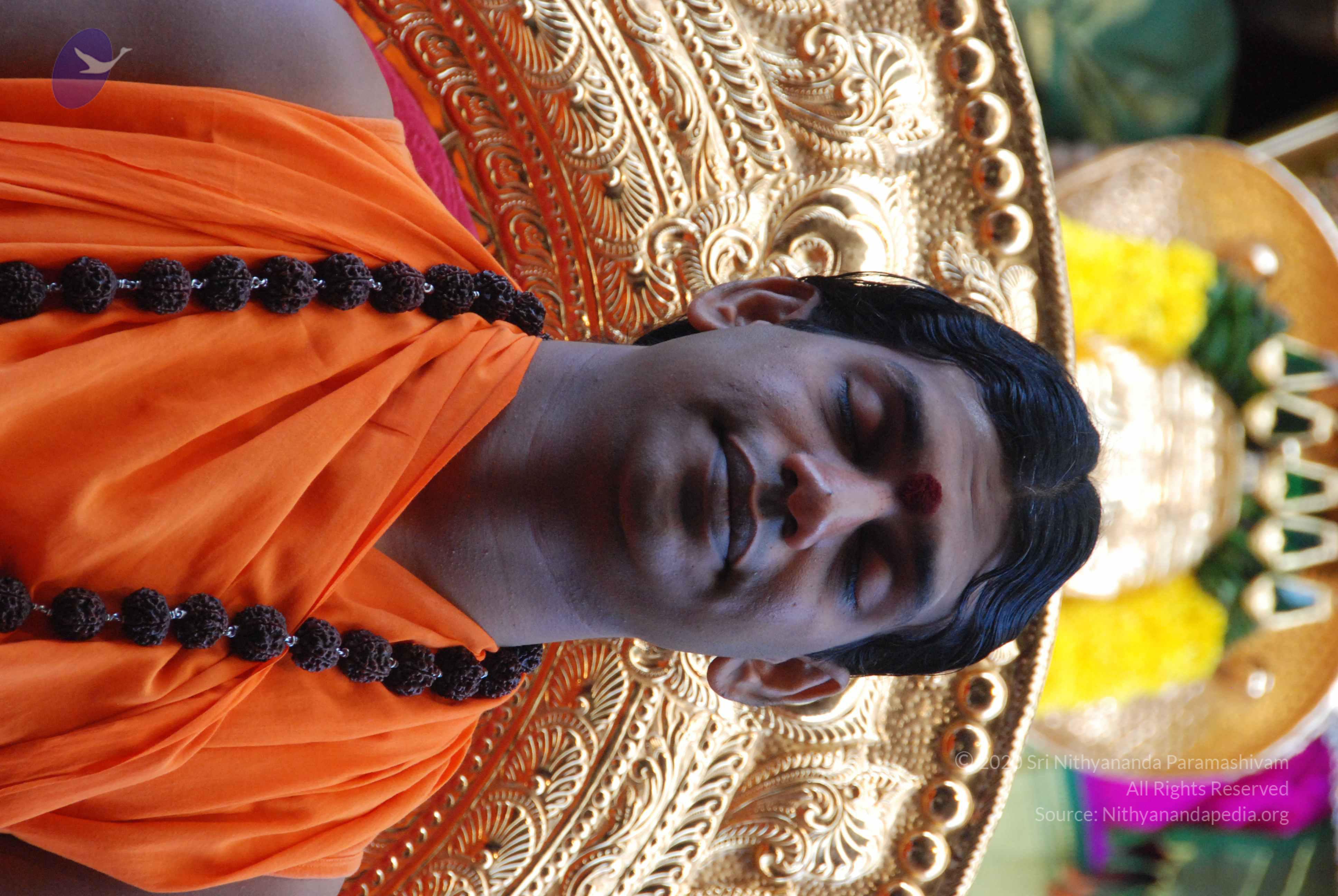 20100821_Photo_1024_DSC_6049_CMP_WM