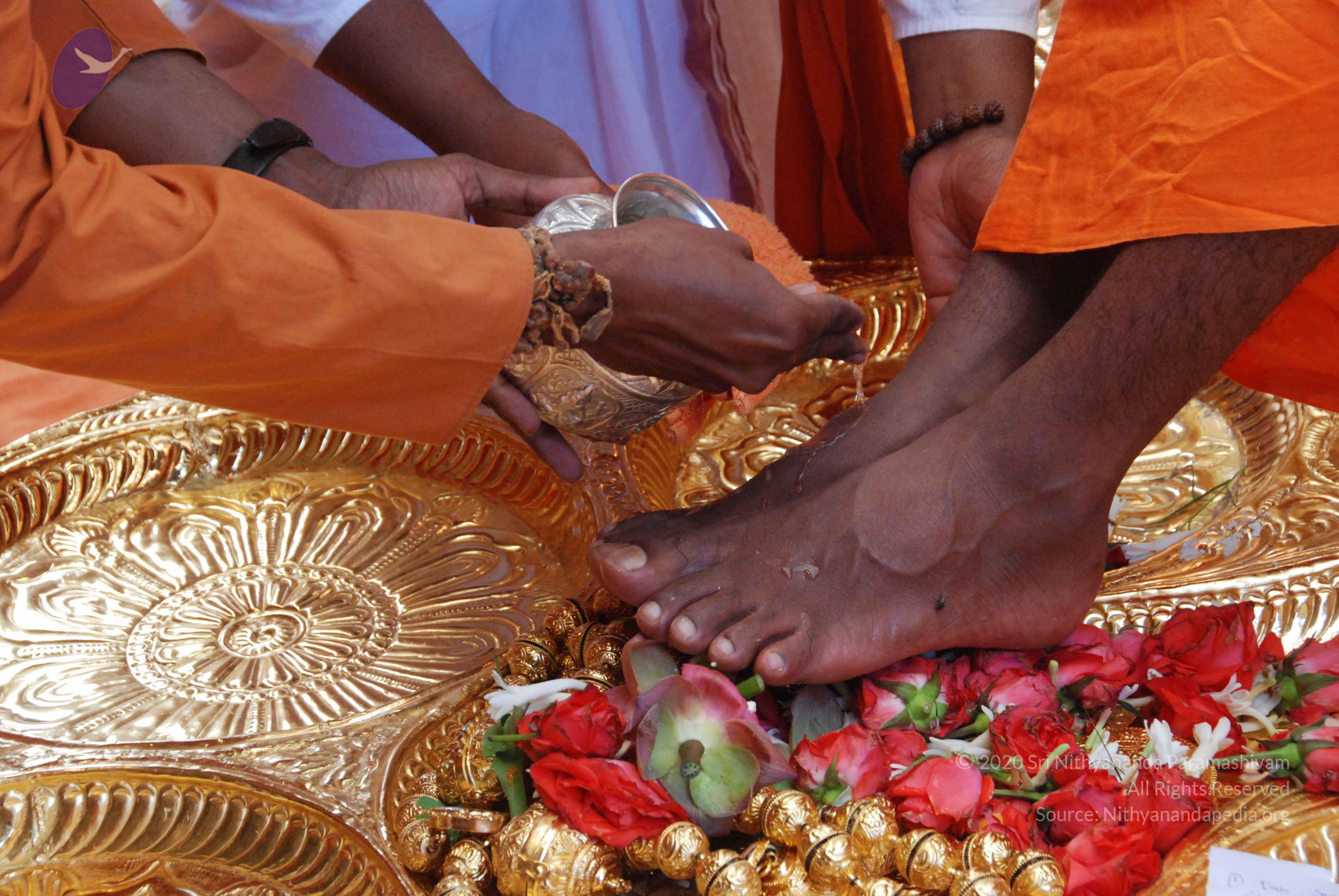 20100821_Photo_1025_DSC_6123_CMP_WM