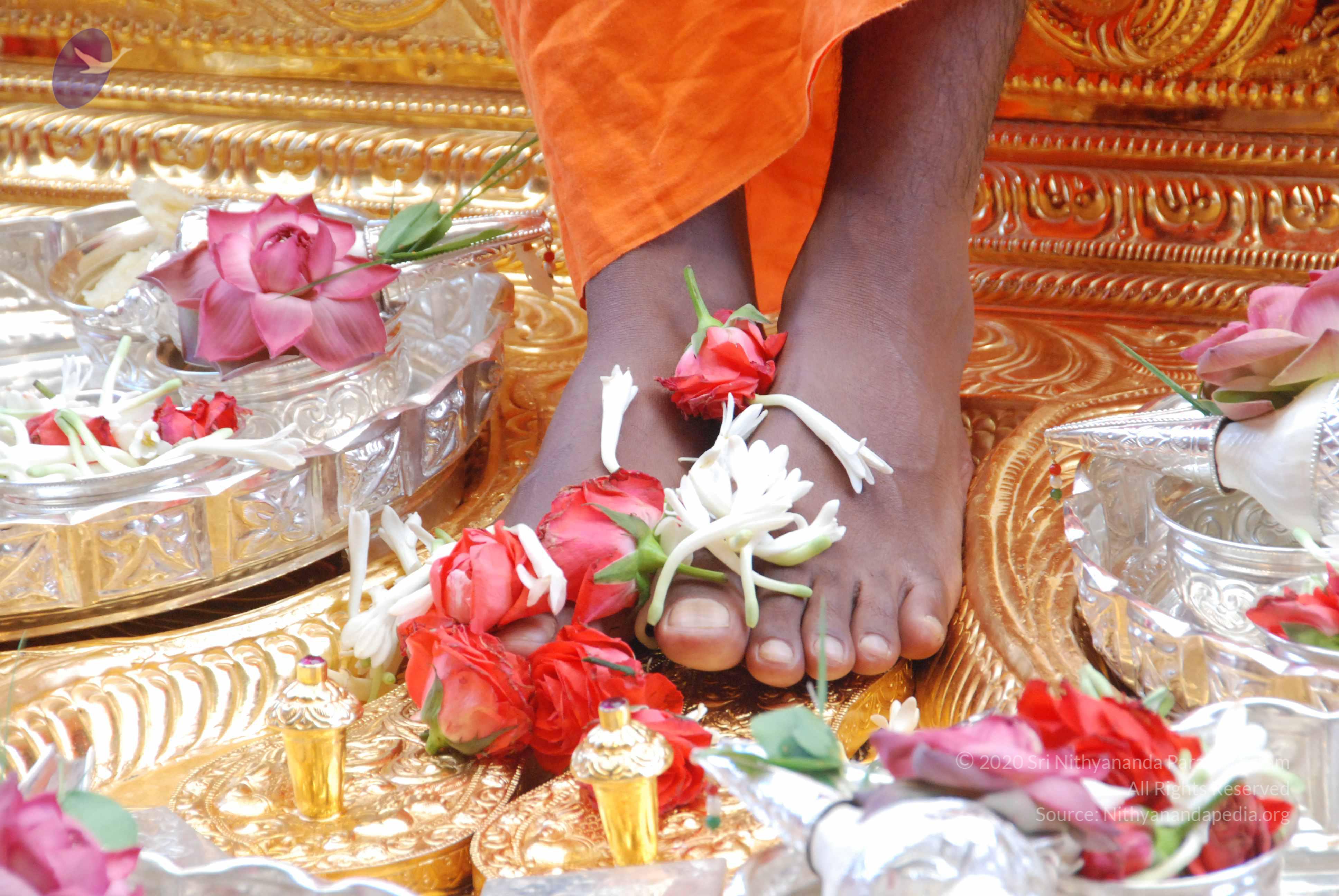 20100821_Photo_1027_DSC_6019_CMP_WM