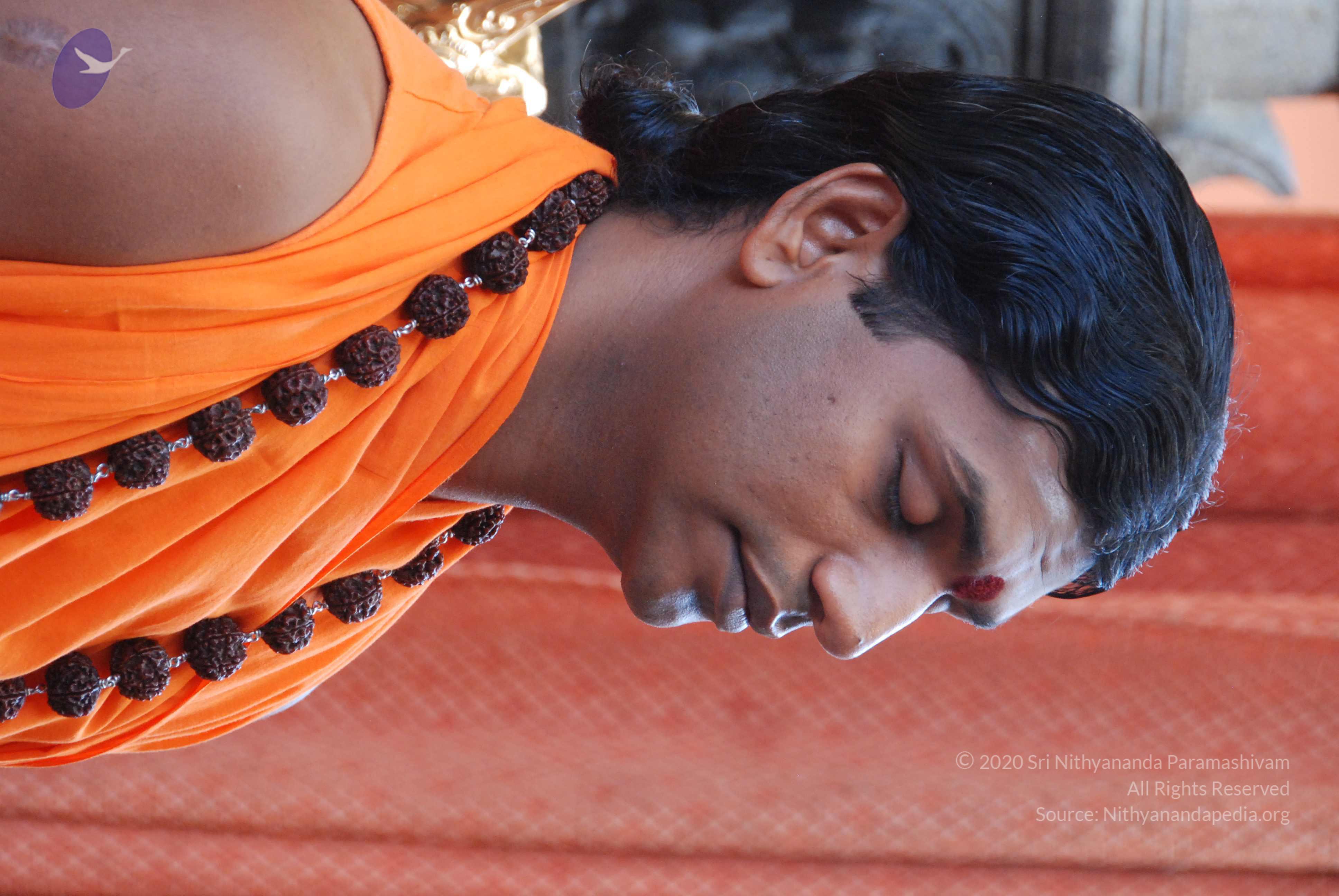 20100821_Photo_1030_DSC_6032_CMP_WM