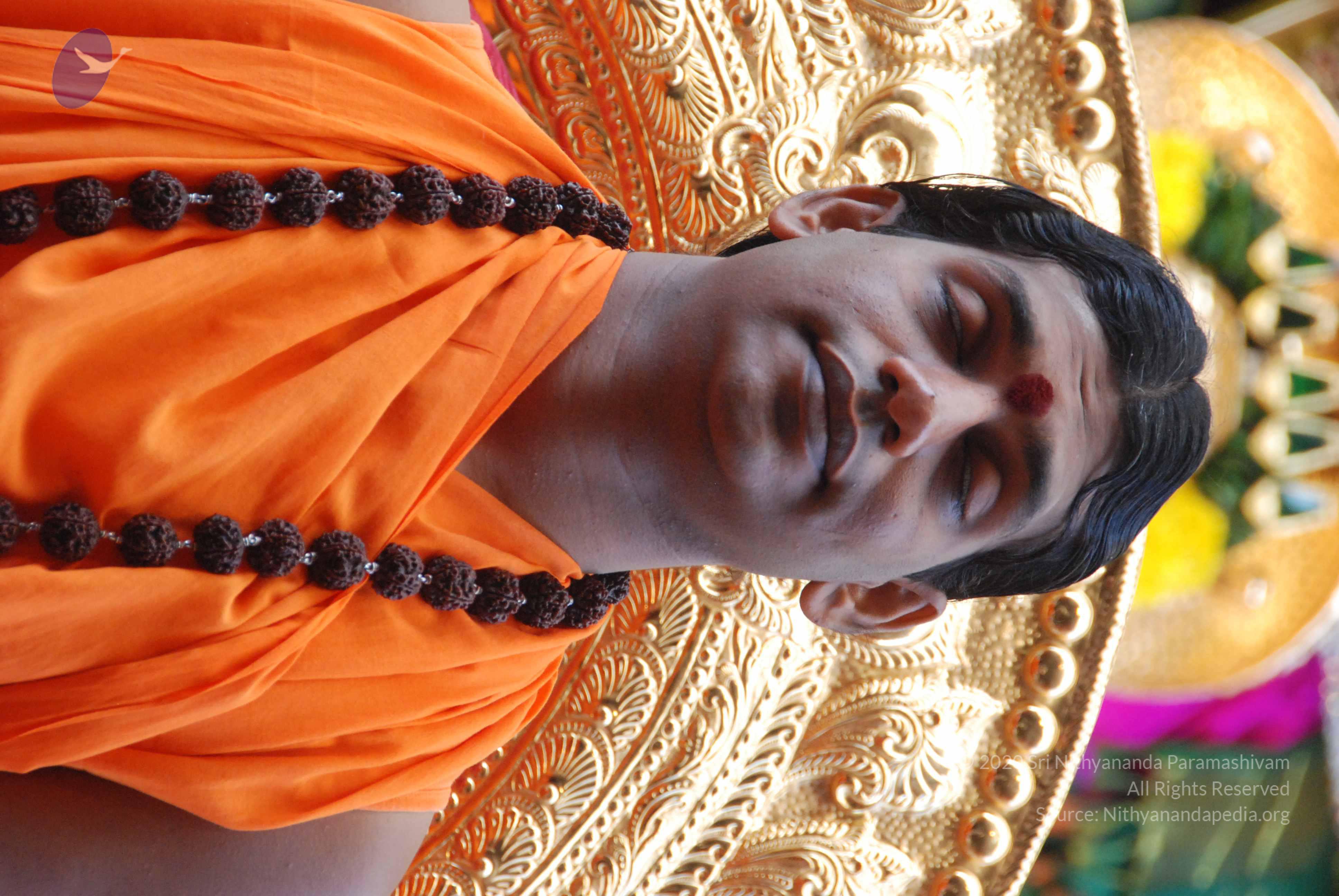 20100821_Photo_1034_DSC_6076_CMP_WM