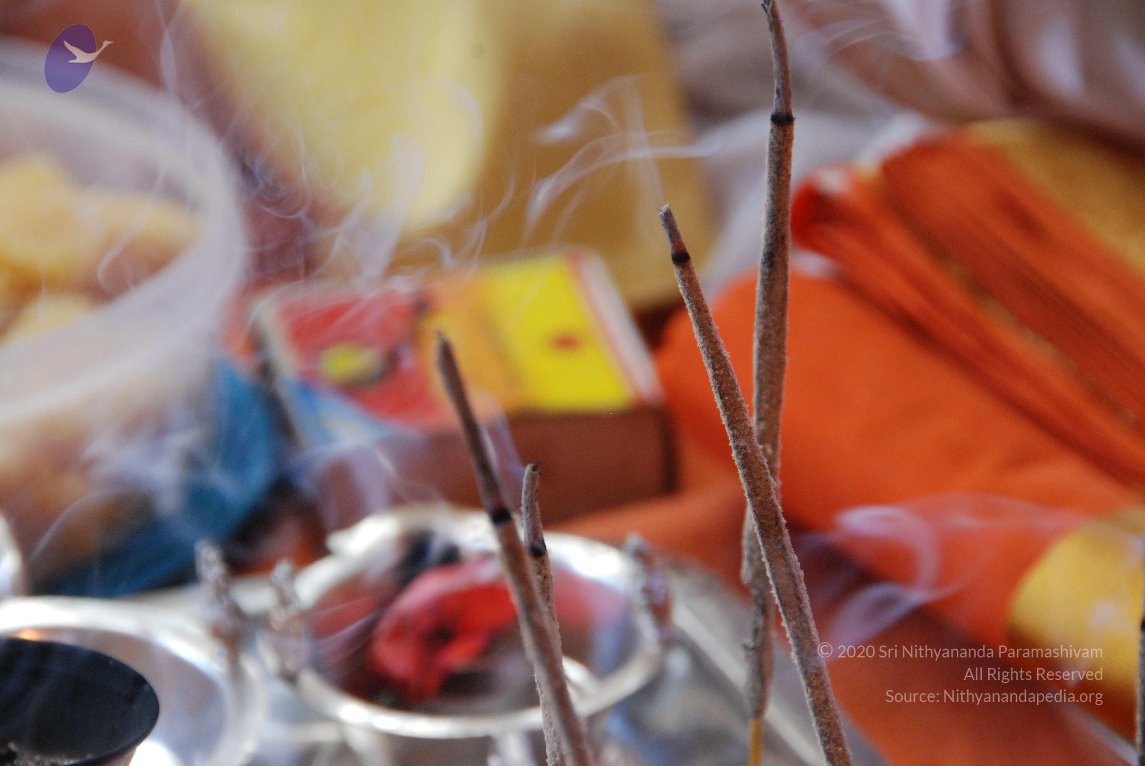 20100821_Photo_1051_DSC_6070_CMP_WM