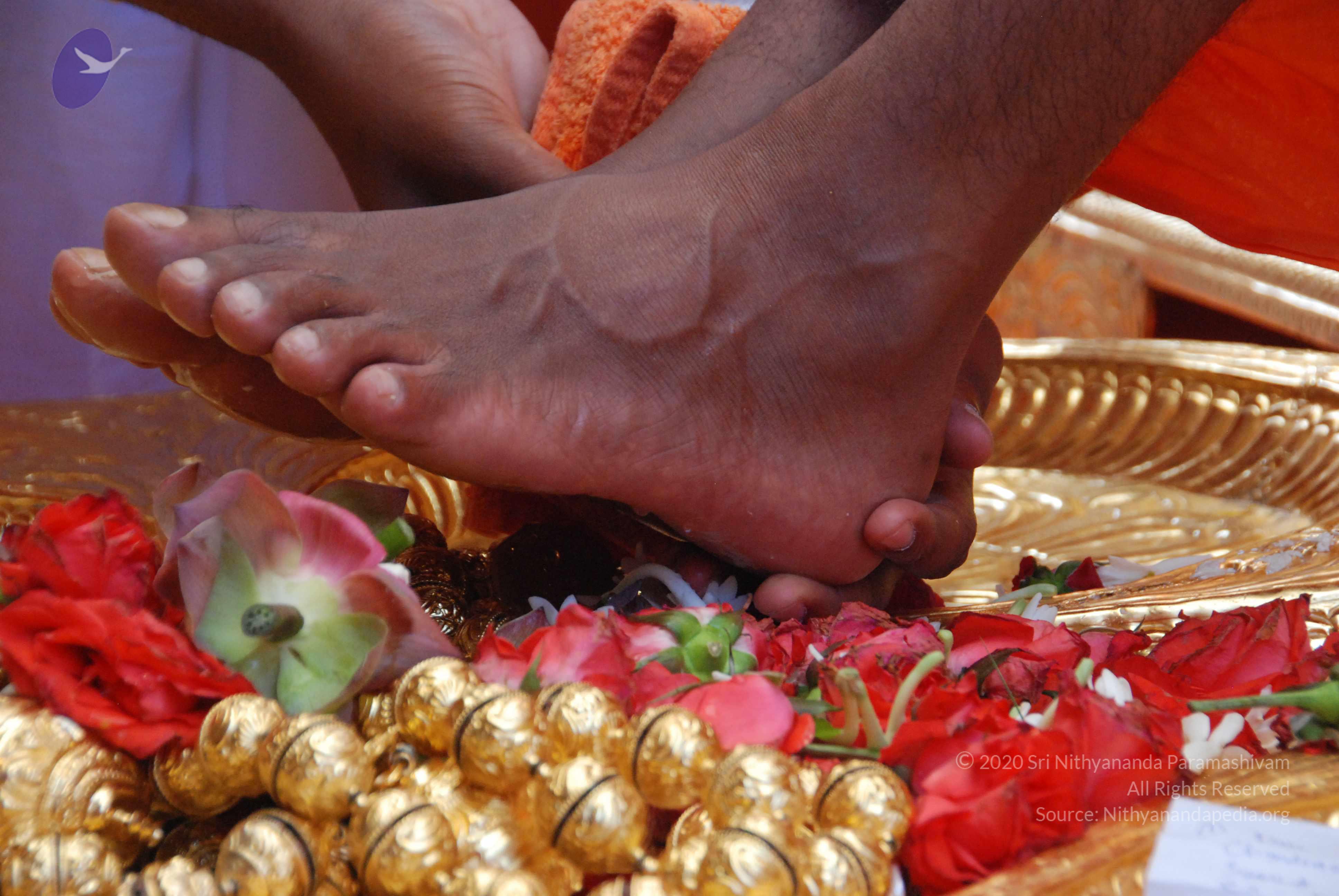 20100821_Photo_1052_DSC_6131_CMP_WM