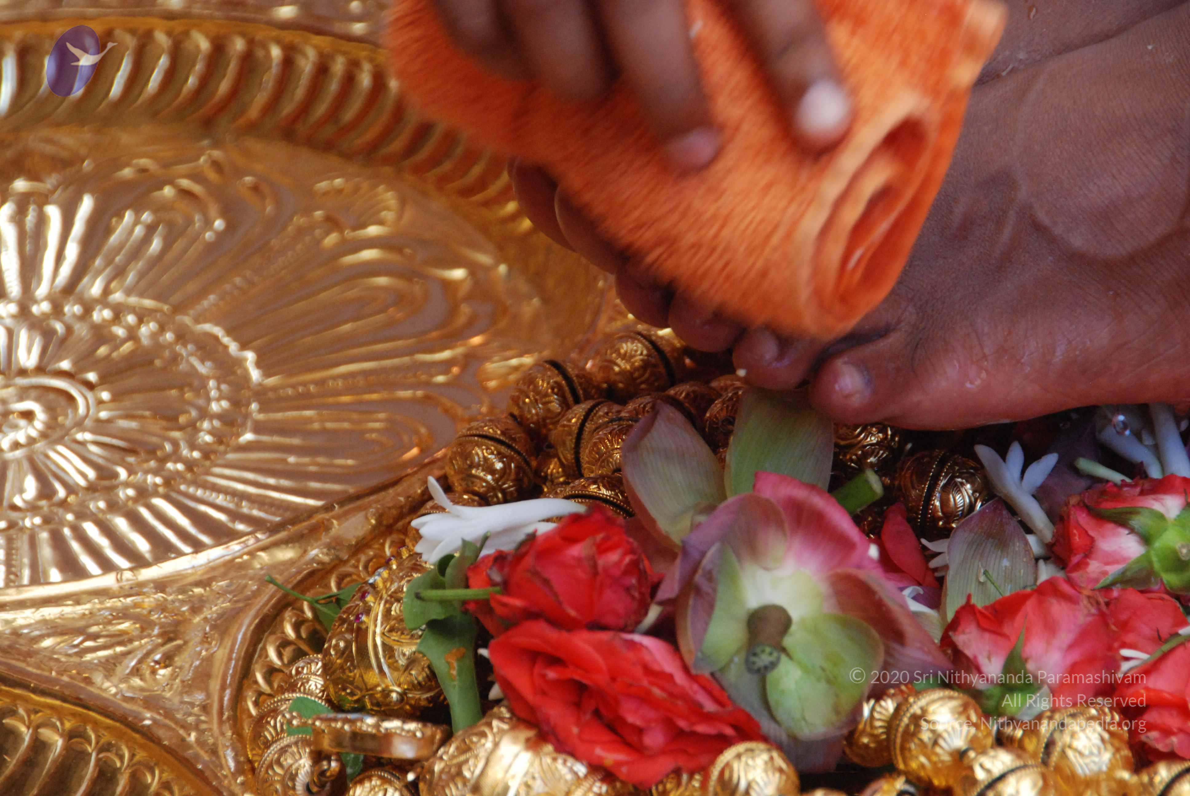 20100821_Photo_1059_DSC_6127_CMP_WM