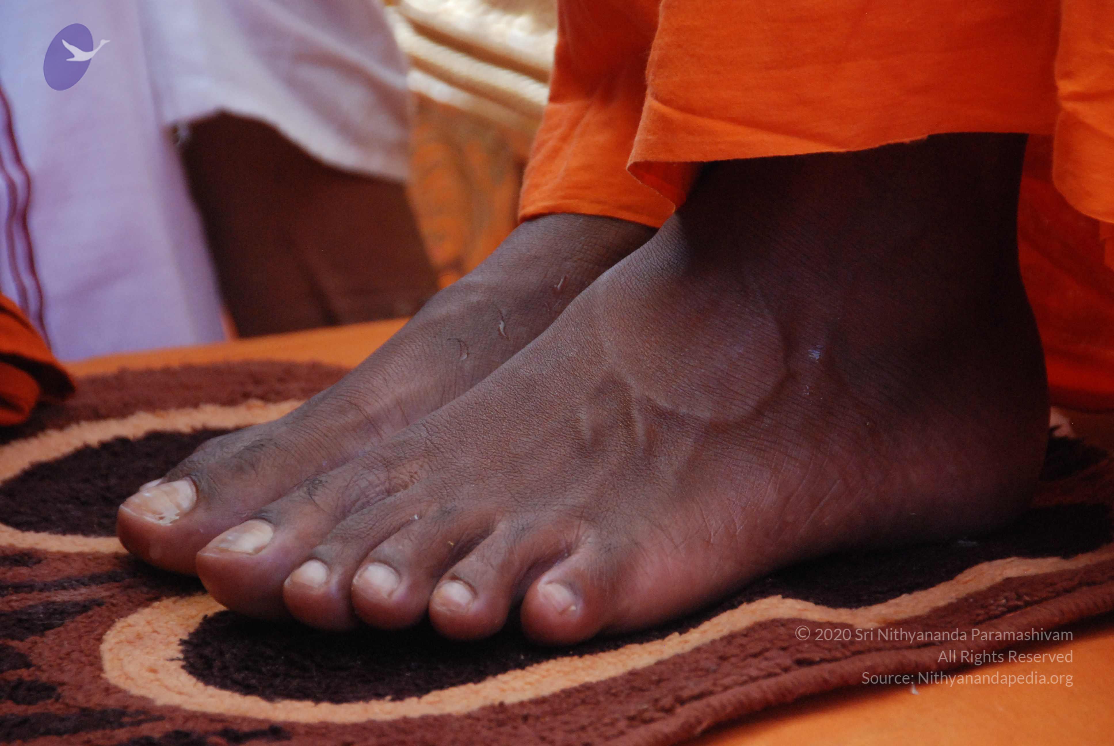 20100821_Photo_1071_DSC_6133_CMP_WM