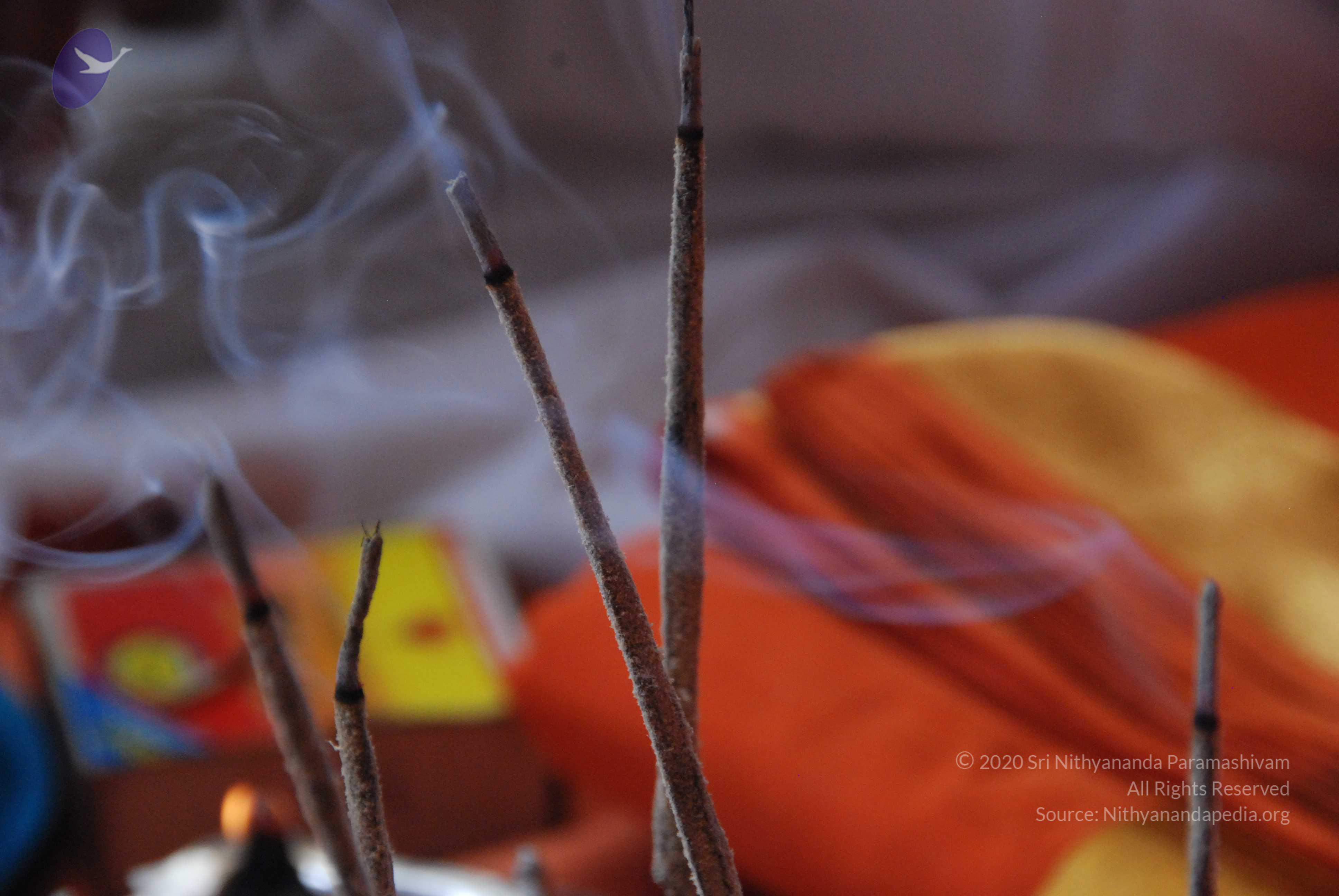 20100821_Photo_1074_DSC_6059_CMP_WM