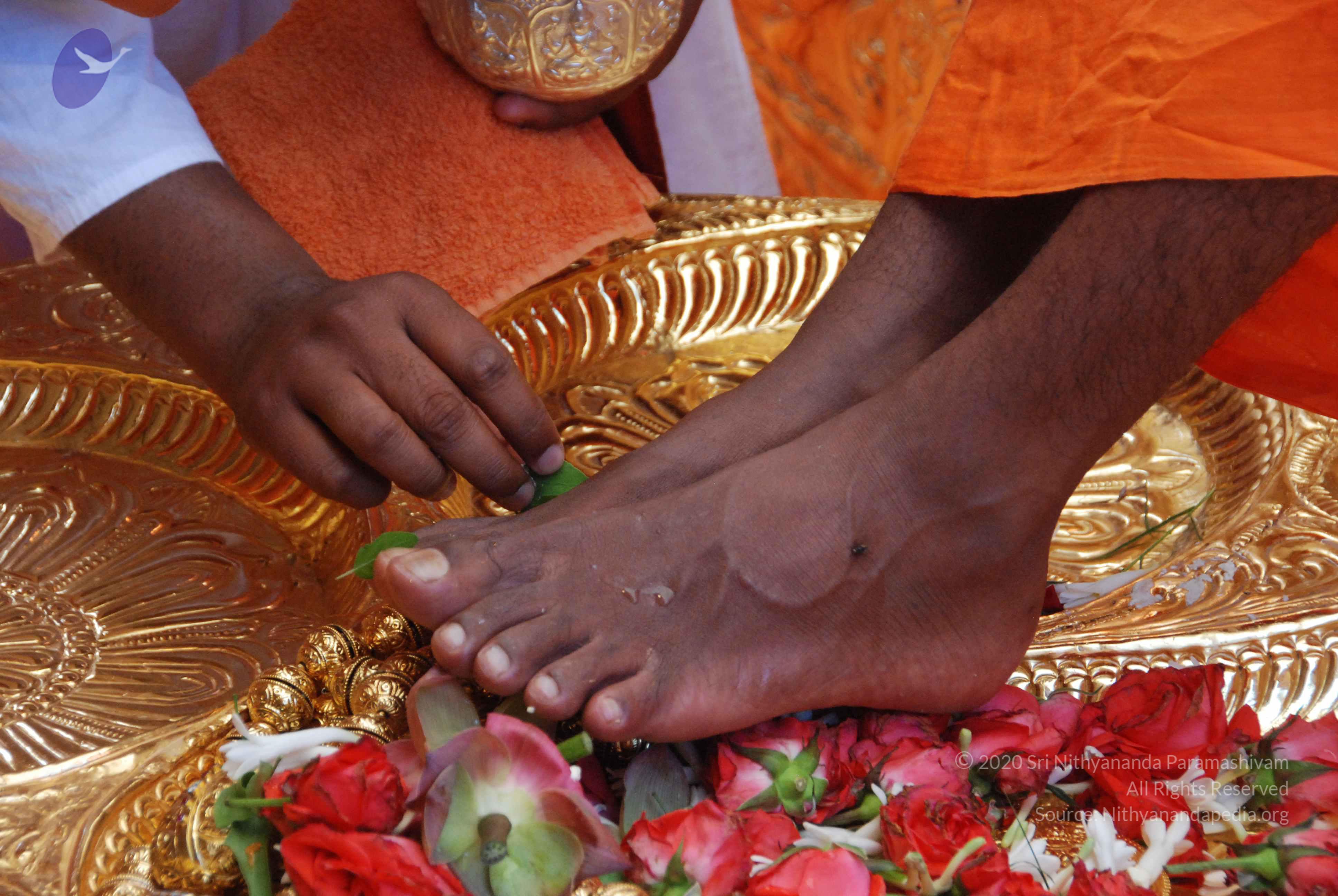 20100821_Photo_1077_DSC_6122_CMP_WM