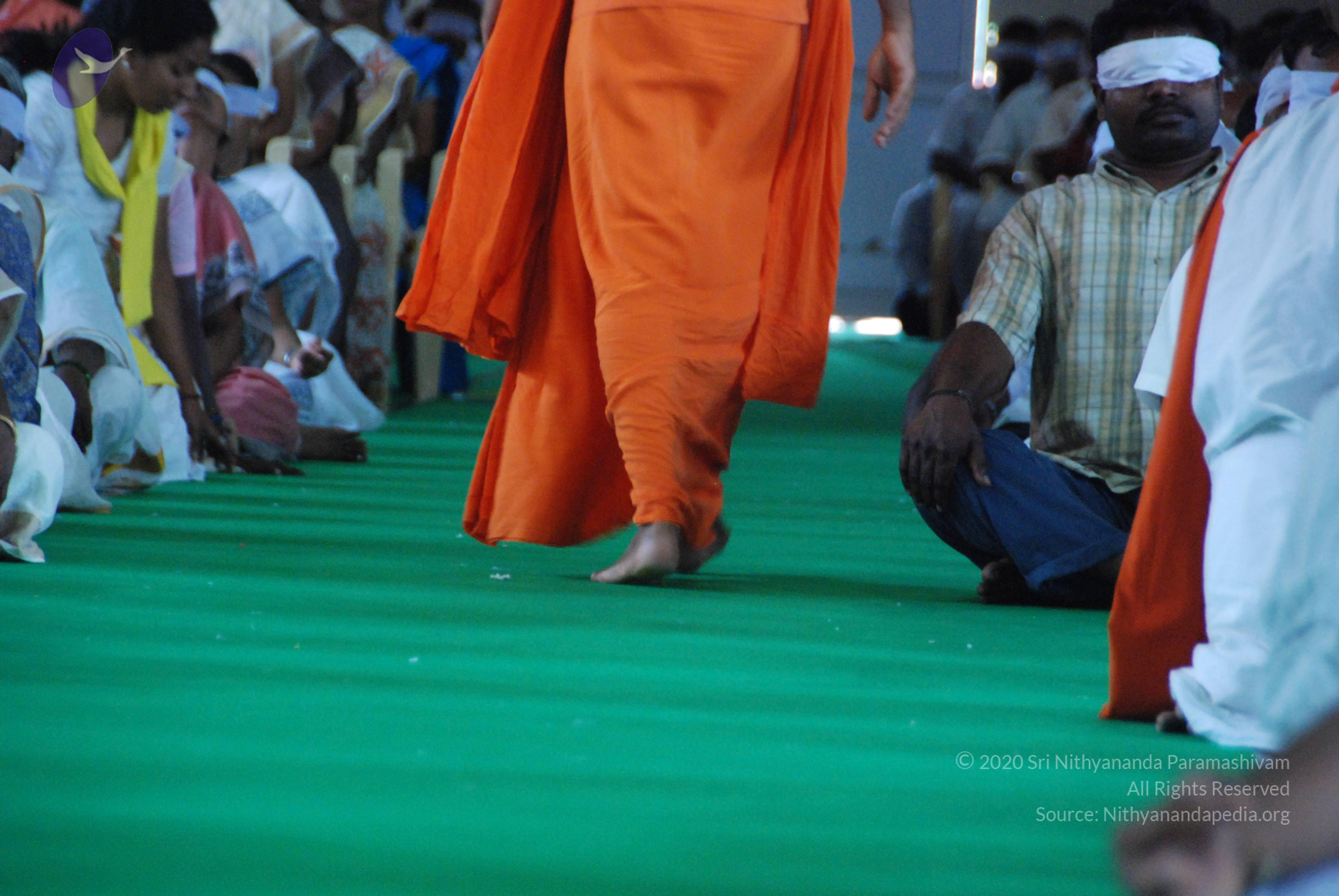 20100821_Photo_1061_DSC_6401_CMP_WM