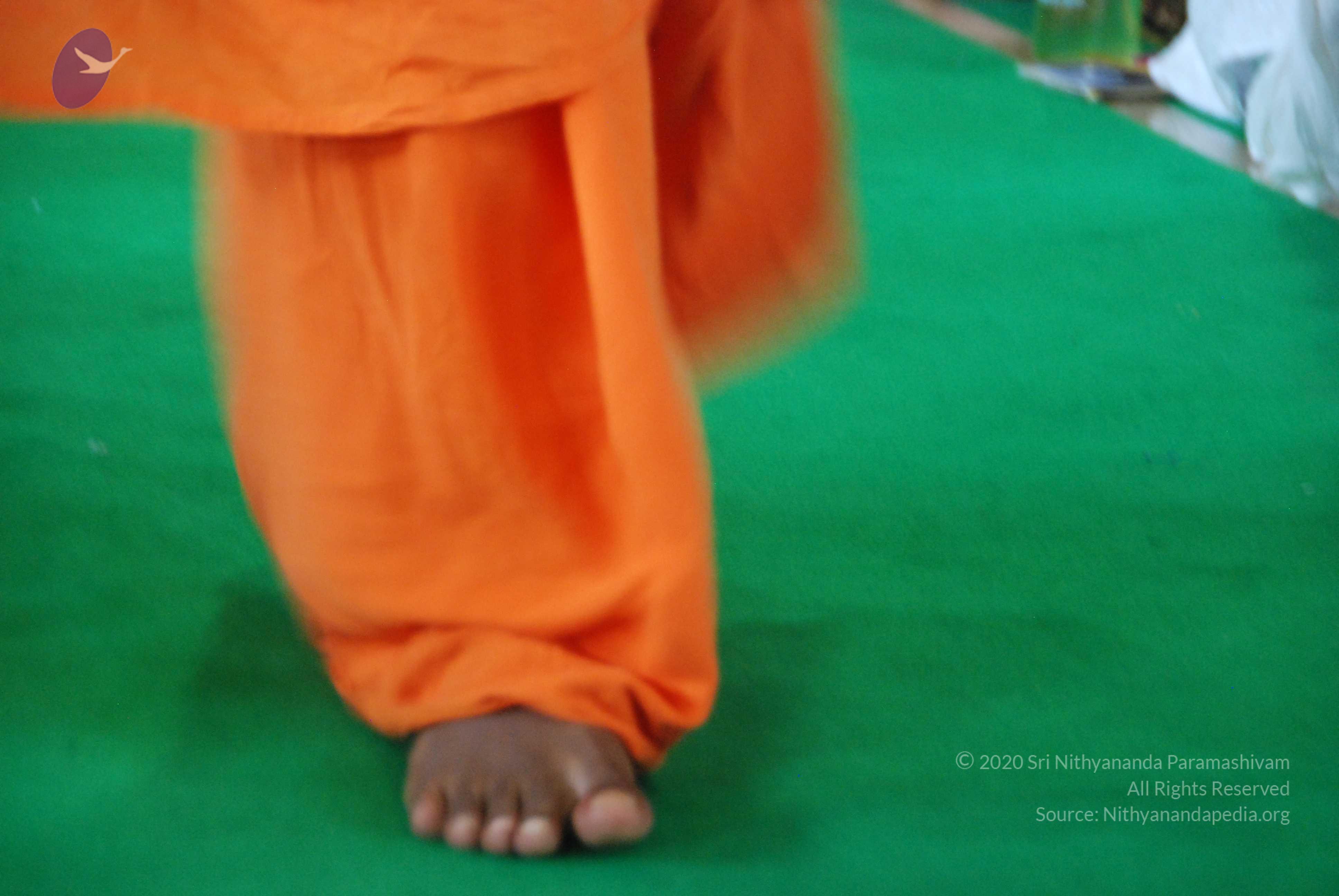 20100821_Photo_1112_DSC_6393_CMP_WM