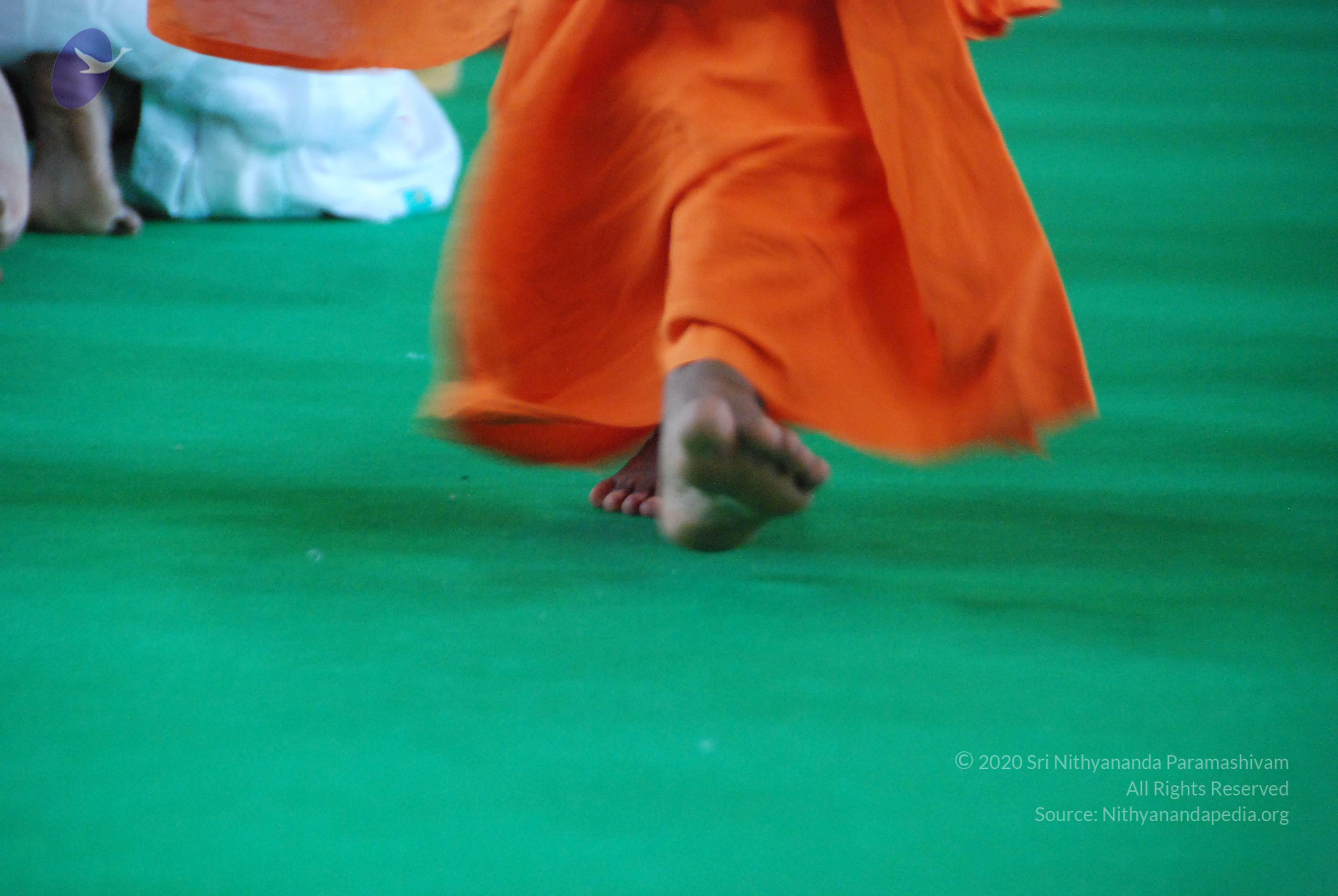 20100821_Photo_1233_DSC_6407_CMP_WM