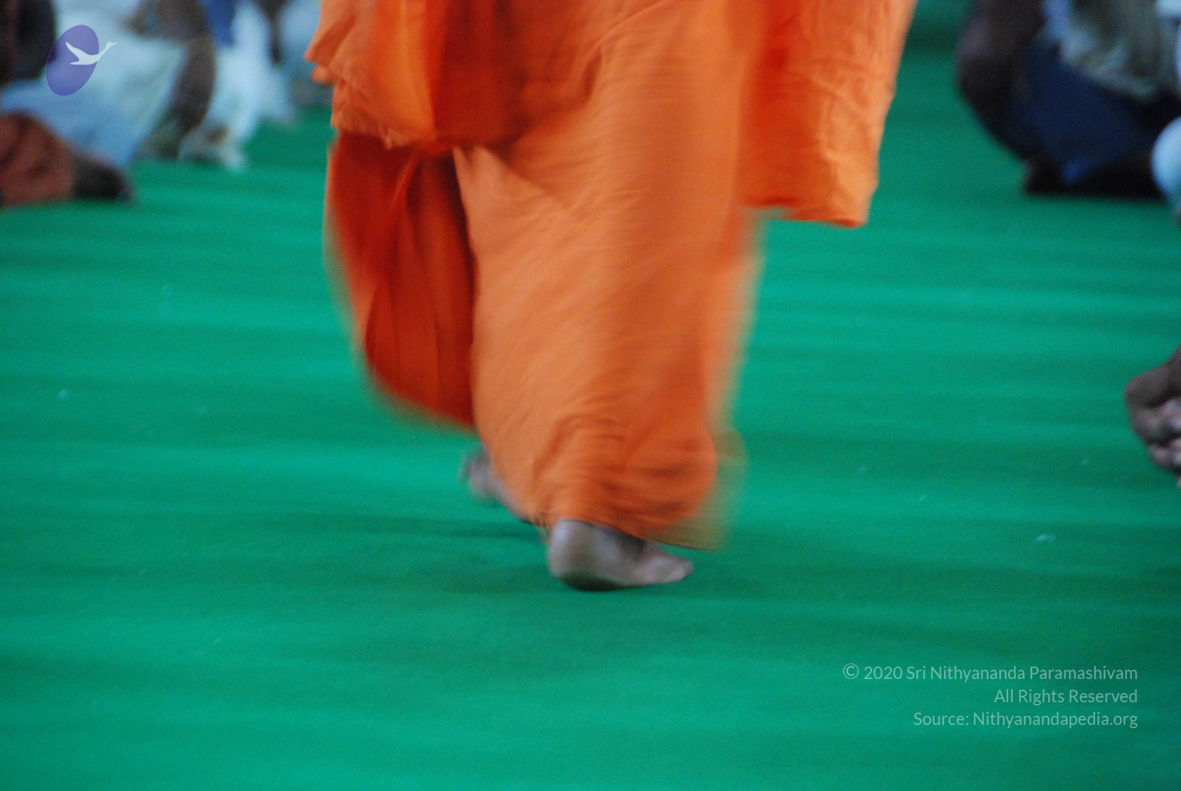 20100821_Photo_1247_DSC_6397_CMP_WM