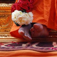 20100821_Photo_1016_DSC_6184_CMP_WM