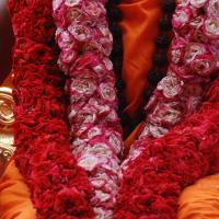 20100821_Photo_1036_DSC_6164_CMP_WM