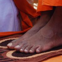 20100821_Photo_1021_DSC_6132_CMP_WM