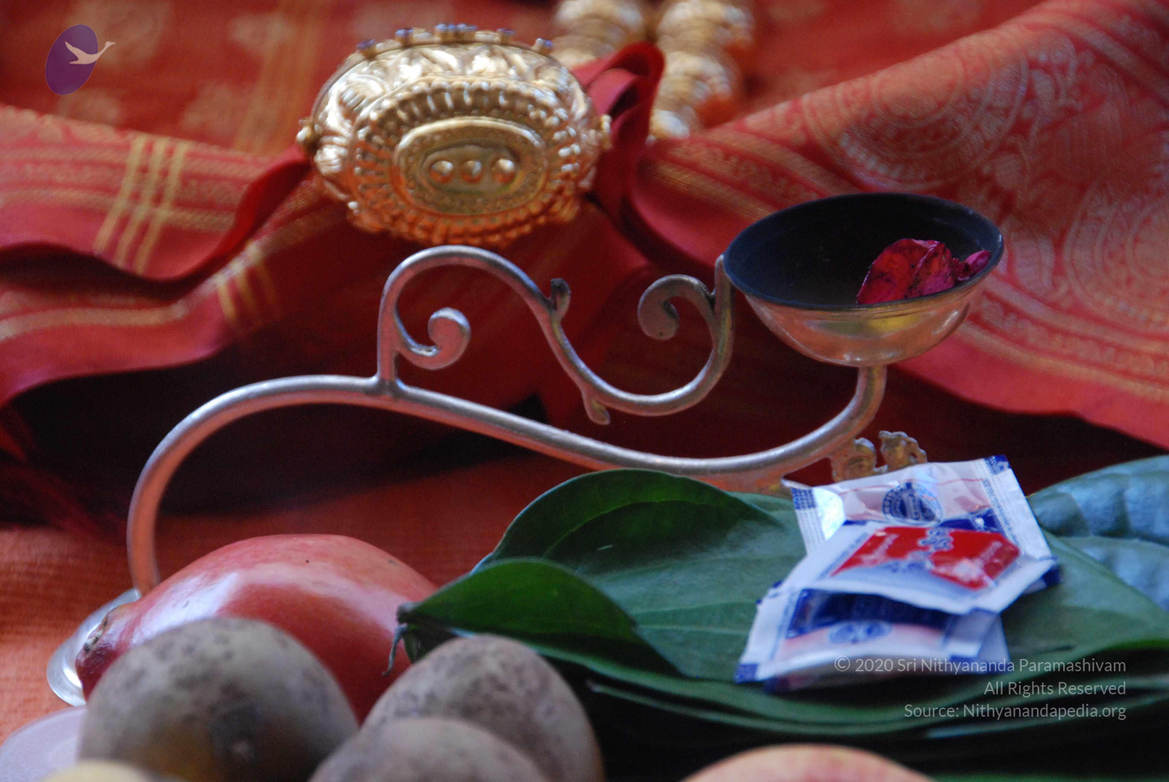 20100821_Photo_1031_DSC_6067_CMP_WM