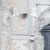 20100821_Photo_1033_DSC_6041_CMP_WM