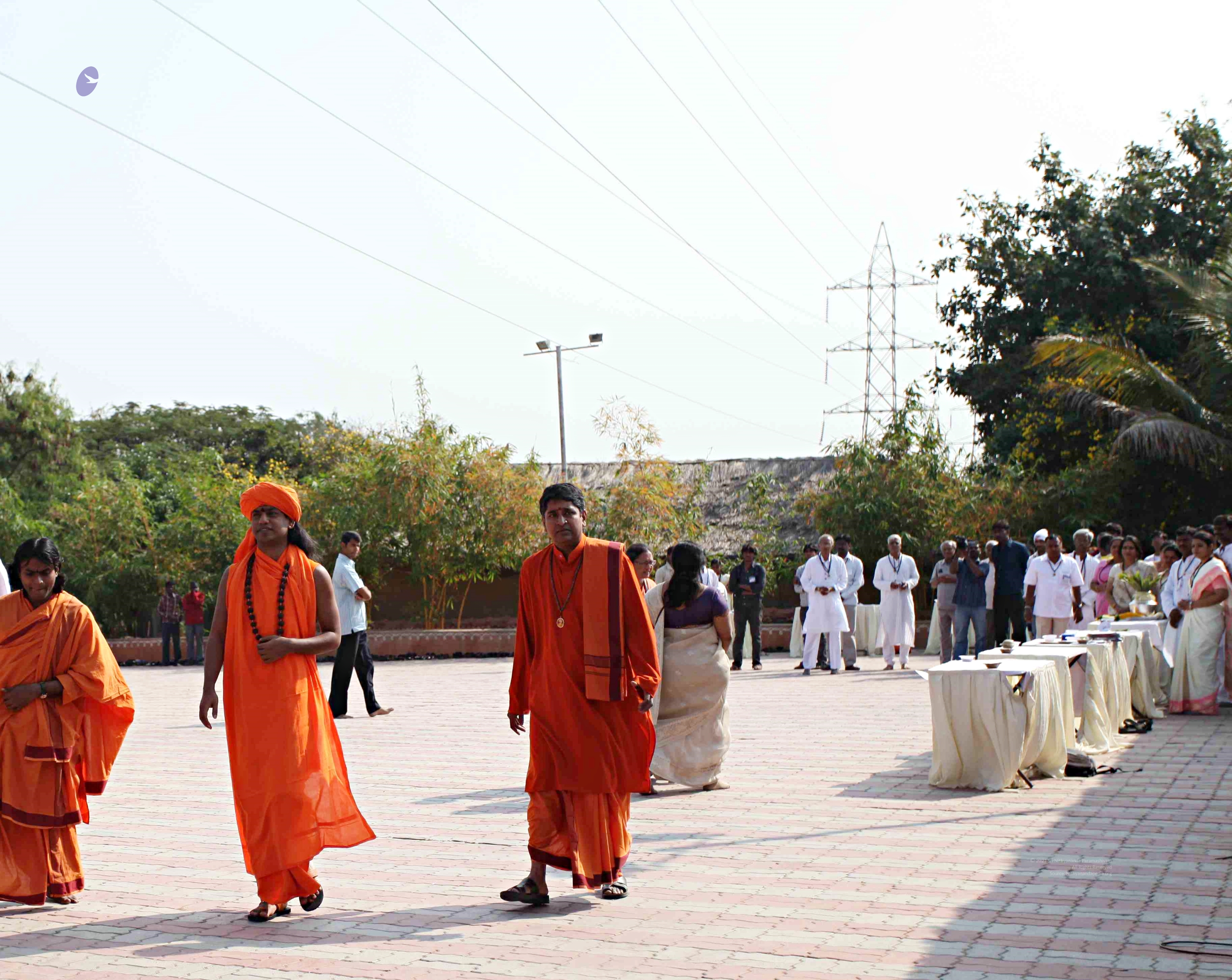 IMG_6893_CMP_WM_batch