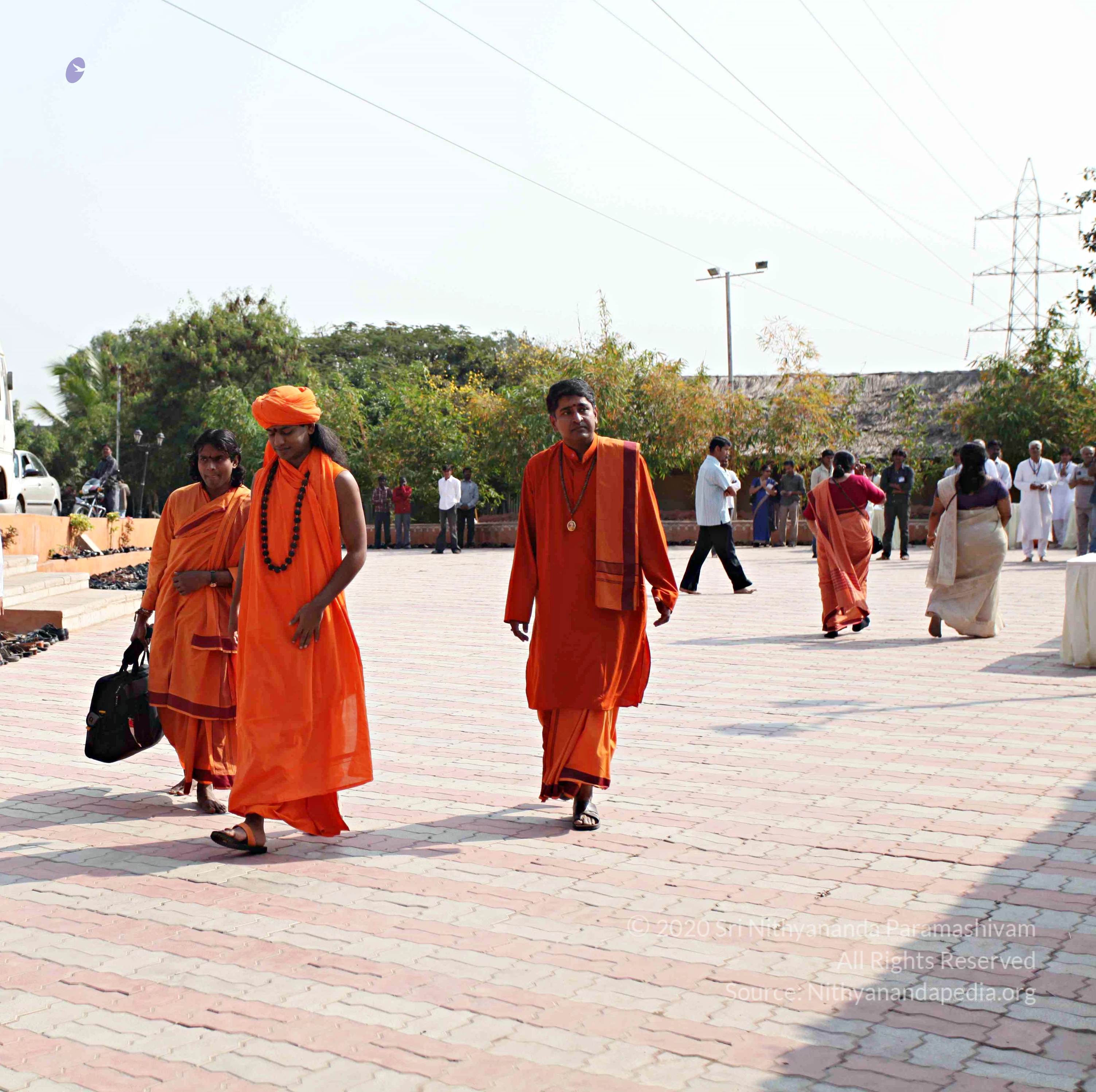 IMG_6895_CMP_WM_batch