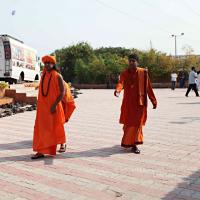 IMG_6896_CMP_WM_batch