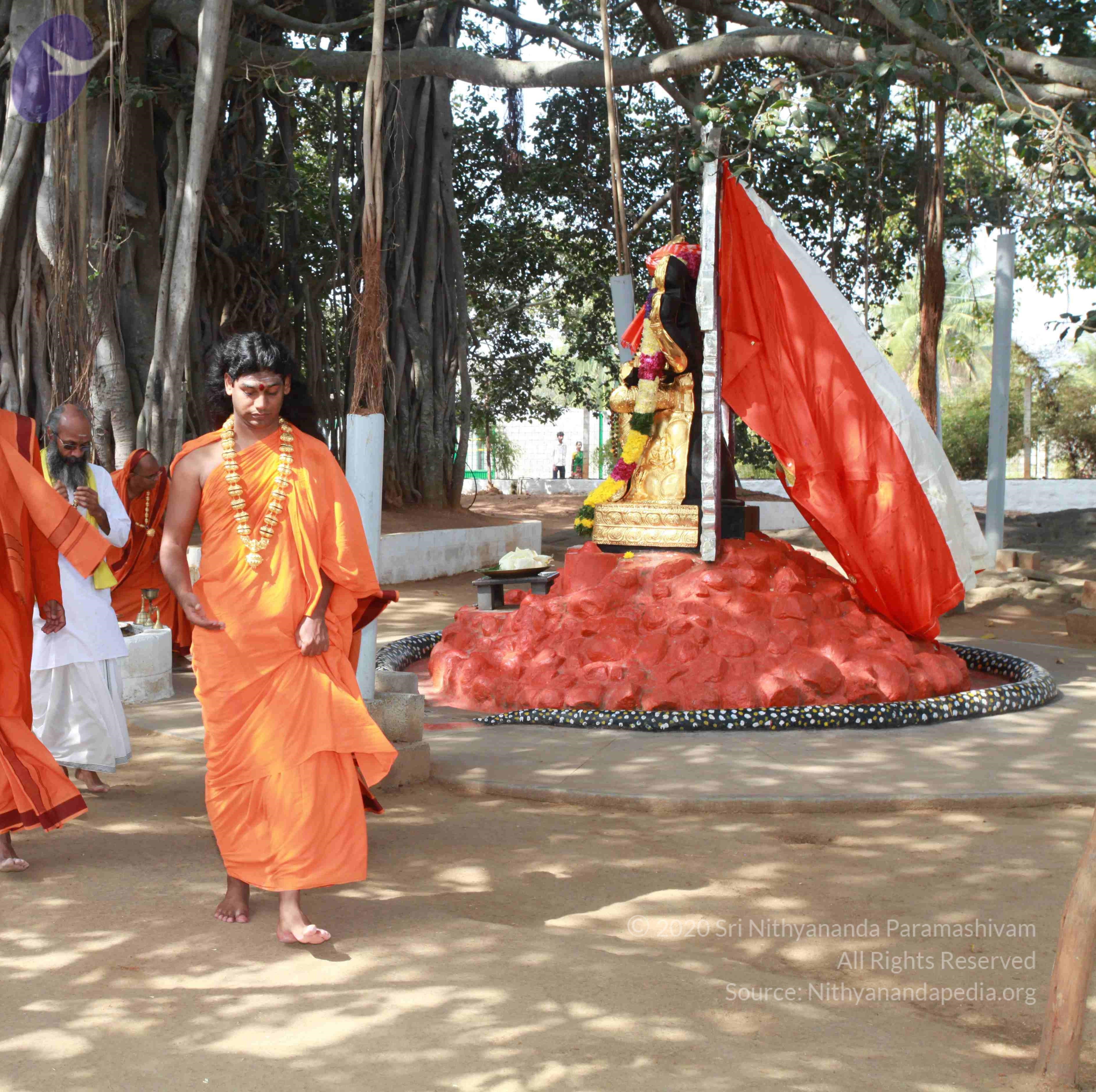 IMG_0499_CMP_WM Done