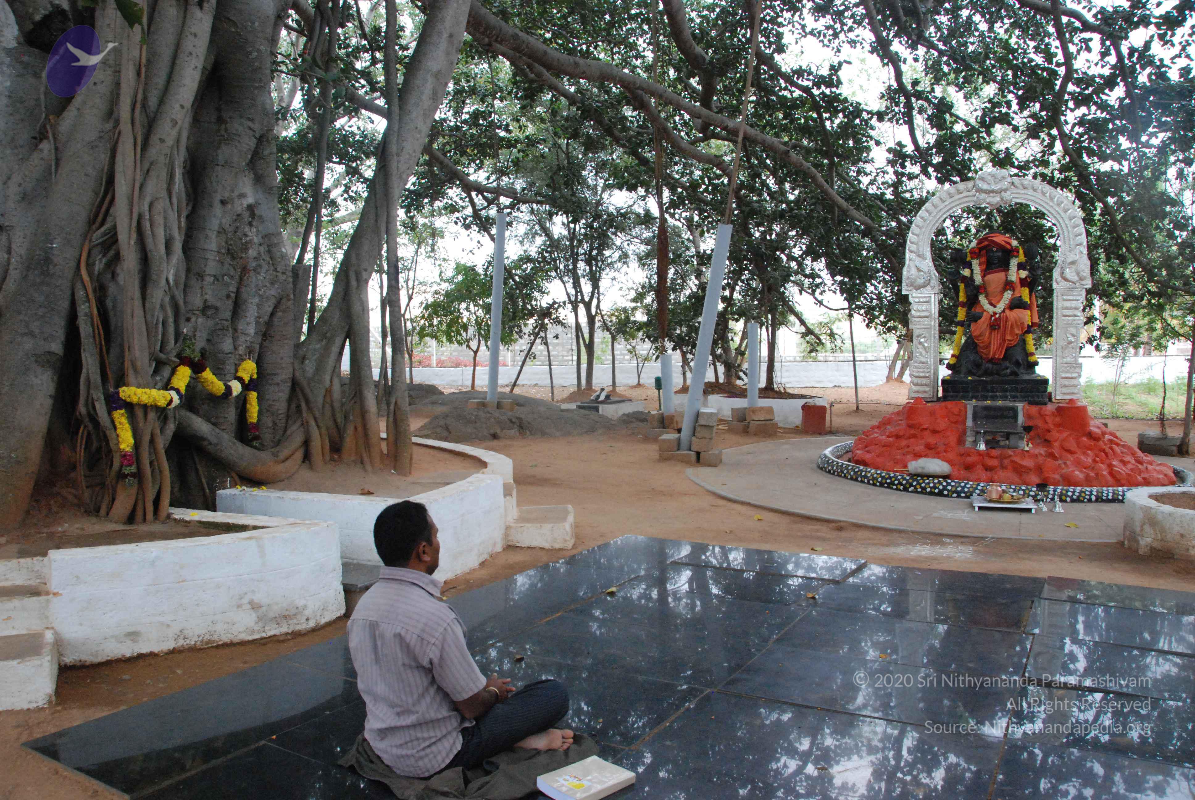 20100113_Photo_1003_DSC_9669_CMP_WM