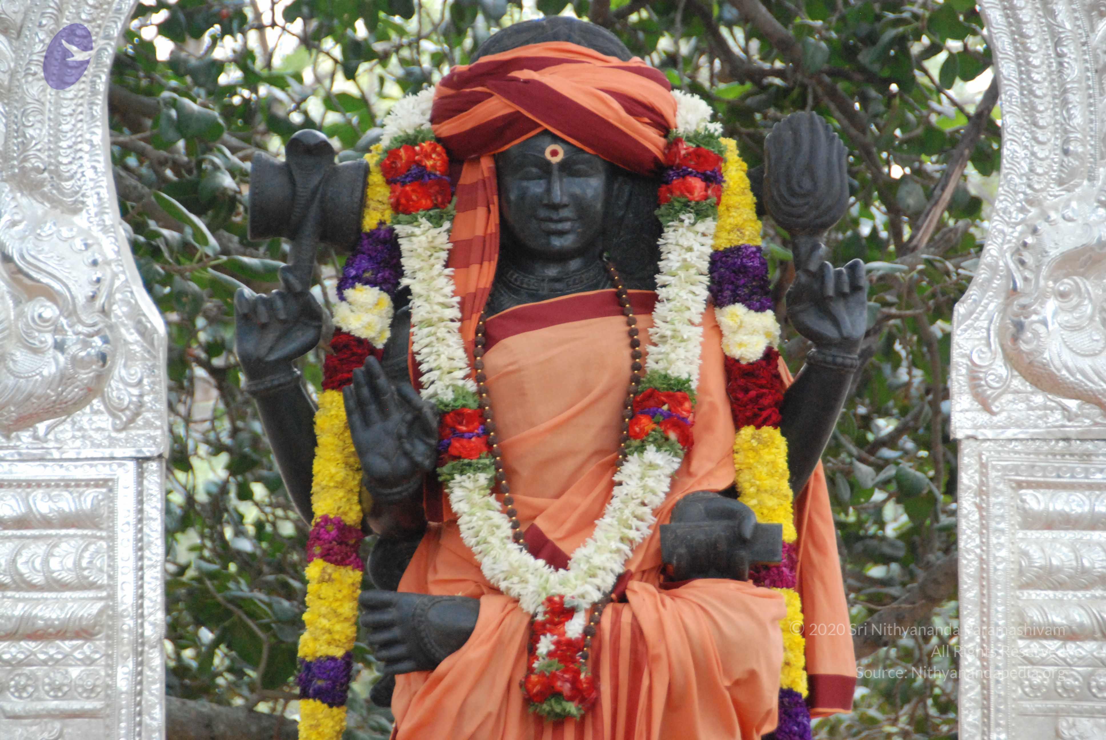 20100113_Photo_1005_DSC_9672_CMP_WM