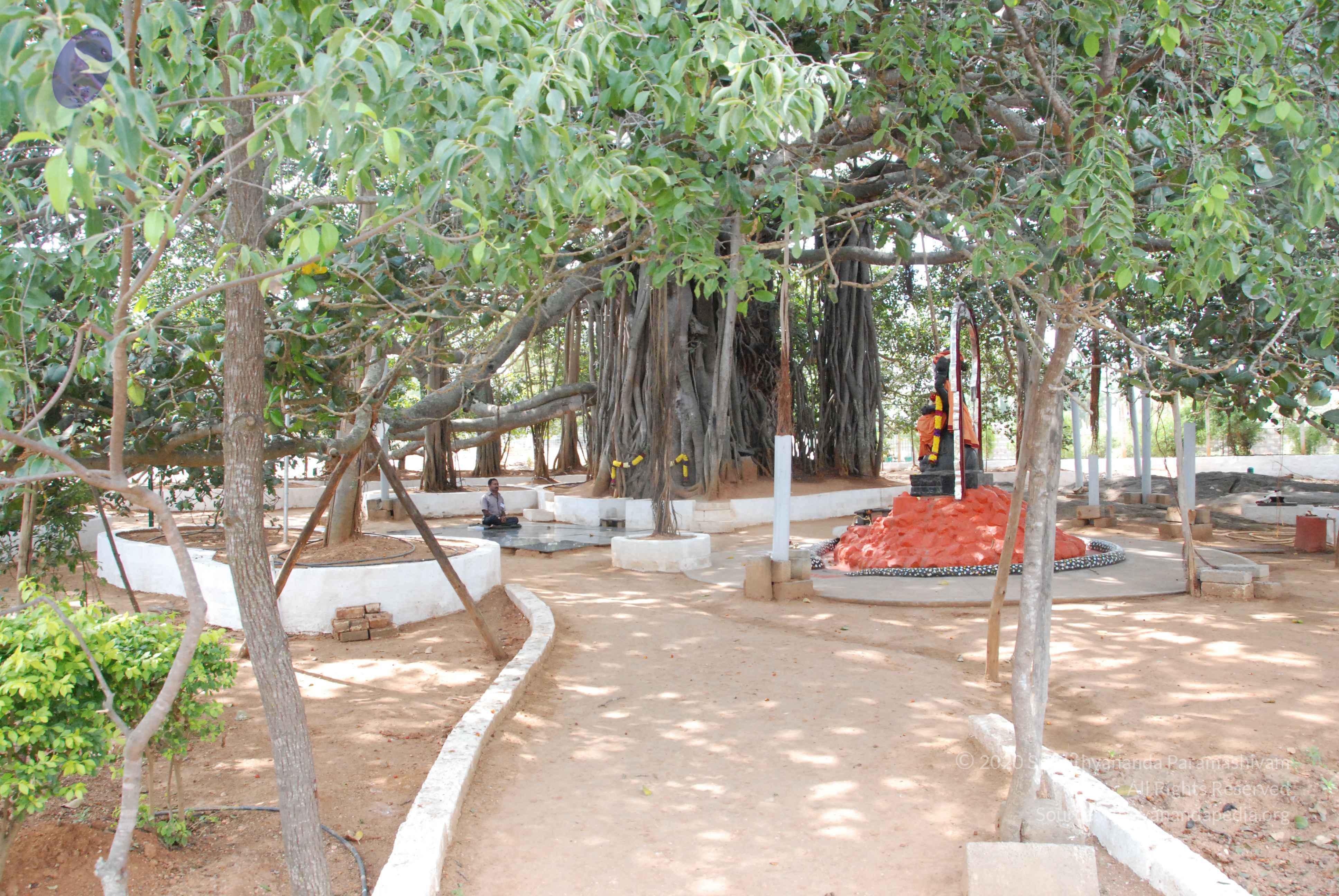 20100113_Photo_1006_DSC_9665_CMP_WM