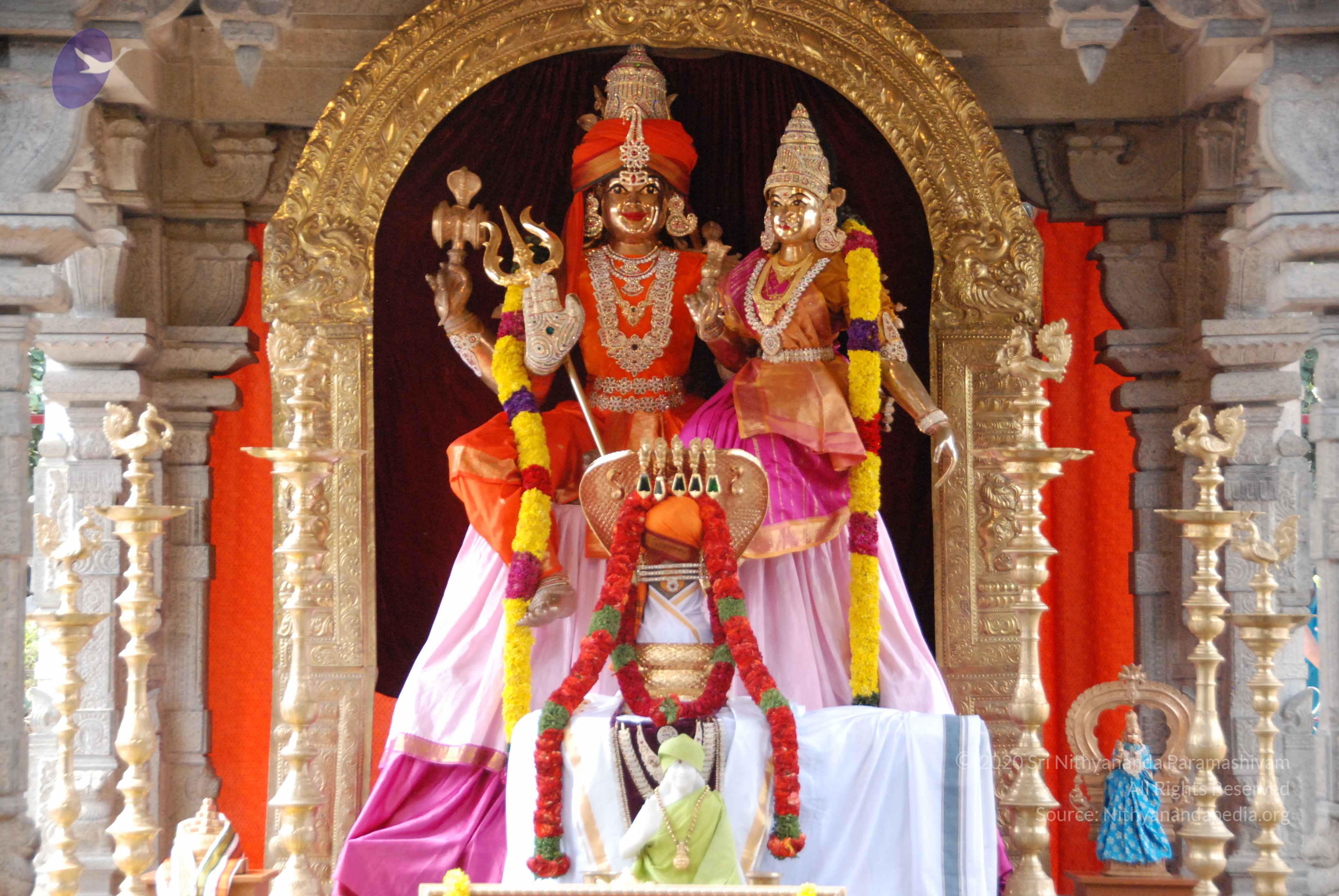 20100113_Photo_1009_DSC_9624_CMP_WM