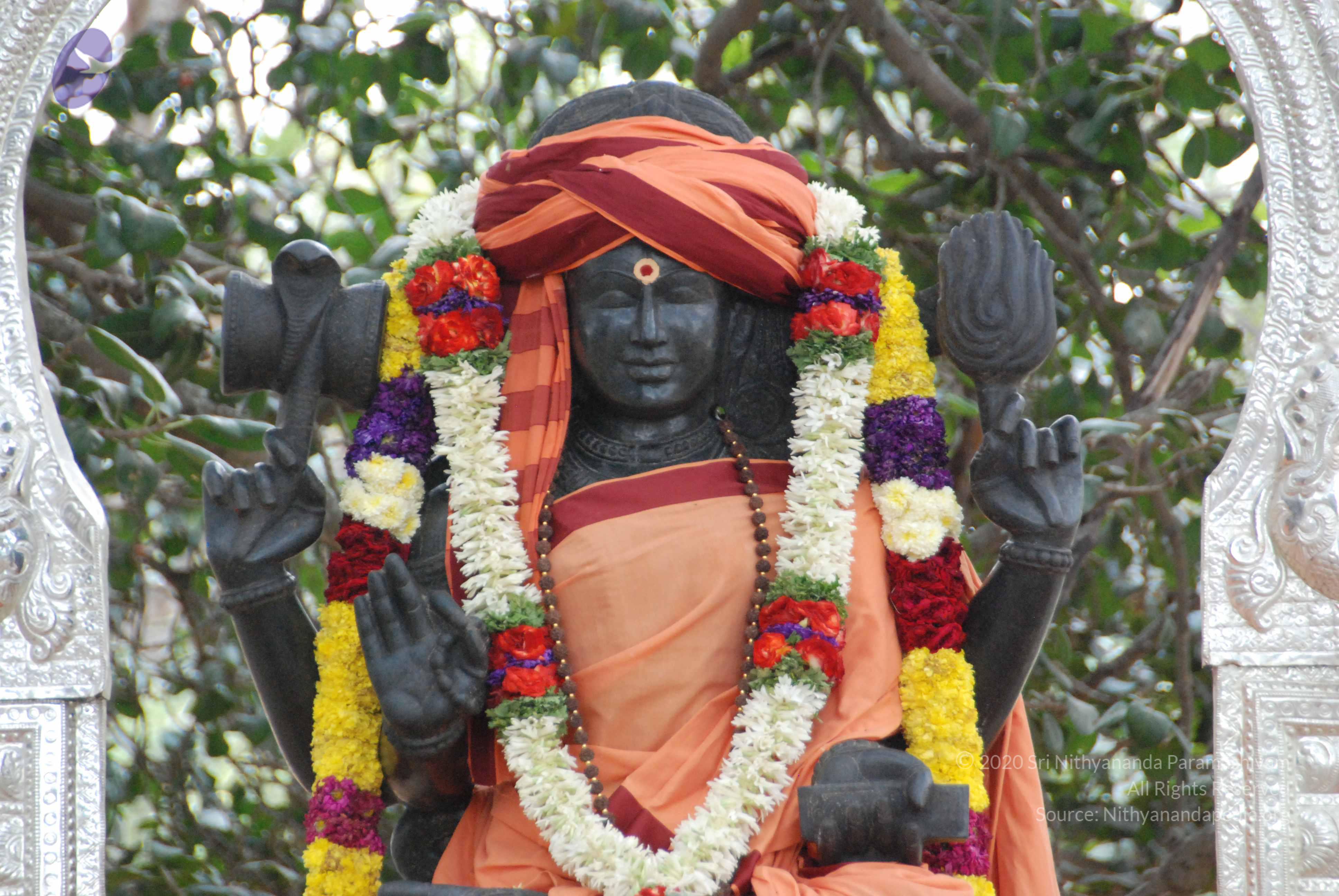 20100113_Photo_1010_DSC_9671_CMP_WM