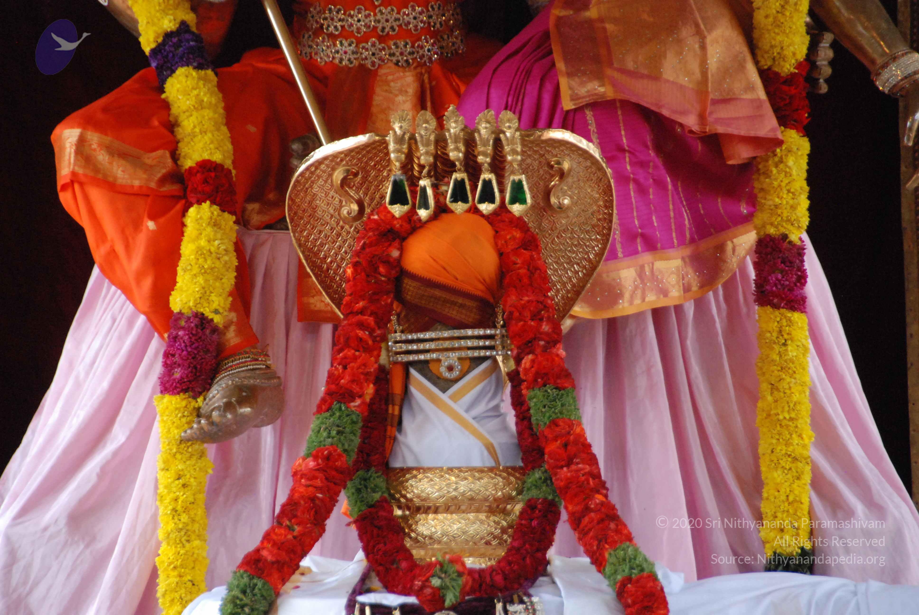 20100113_Photo_1011_DSC_9632_CMP_WM