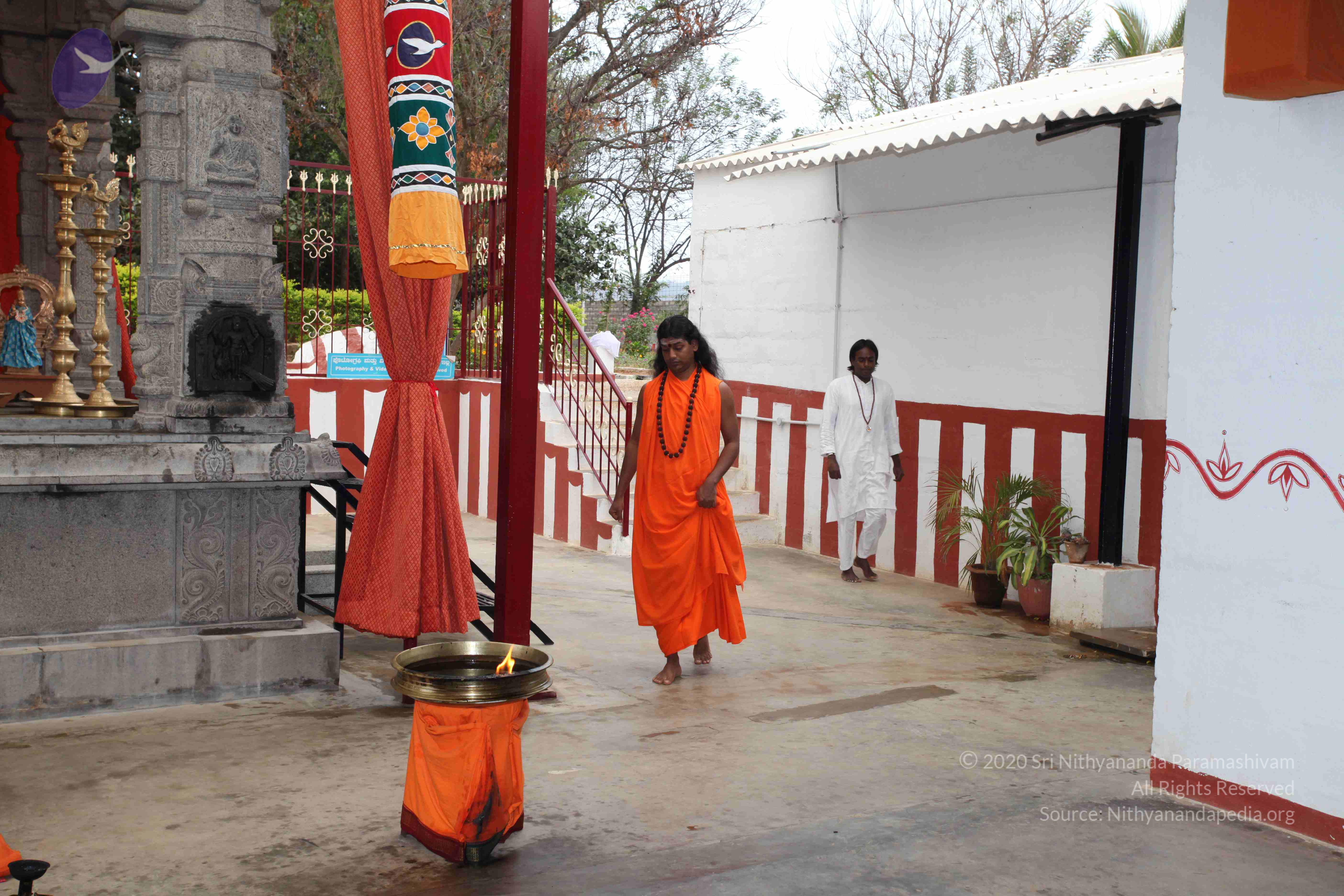 20100113_Photo_1003_IMG_0298_CMP_WM