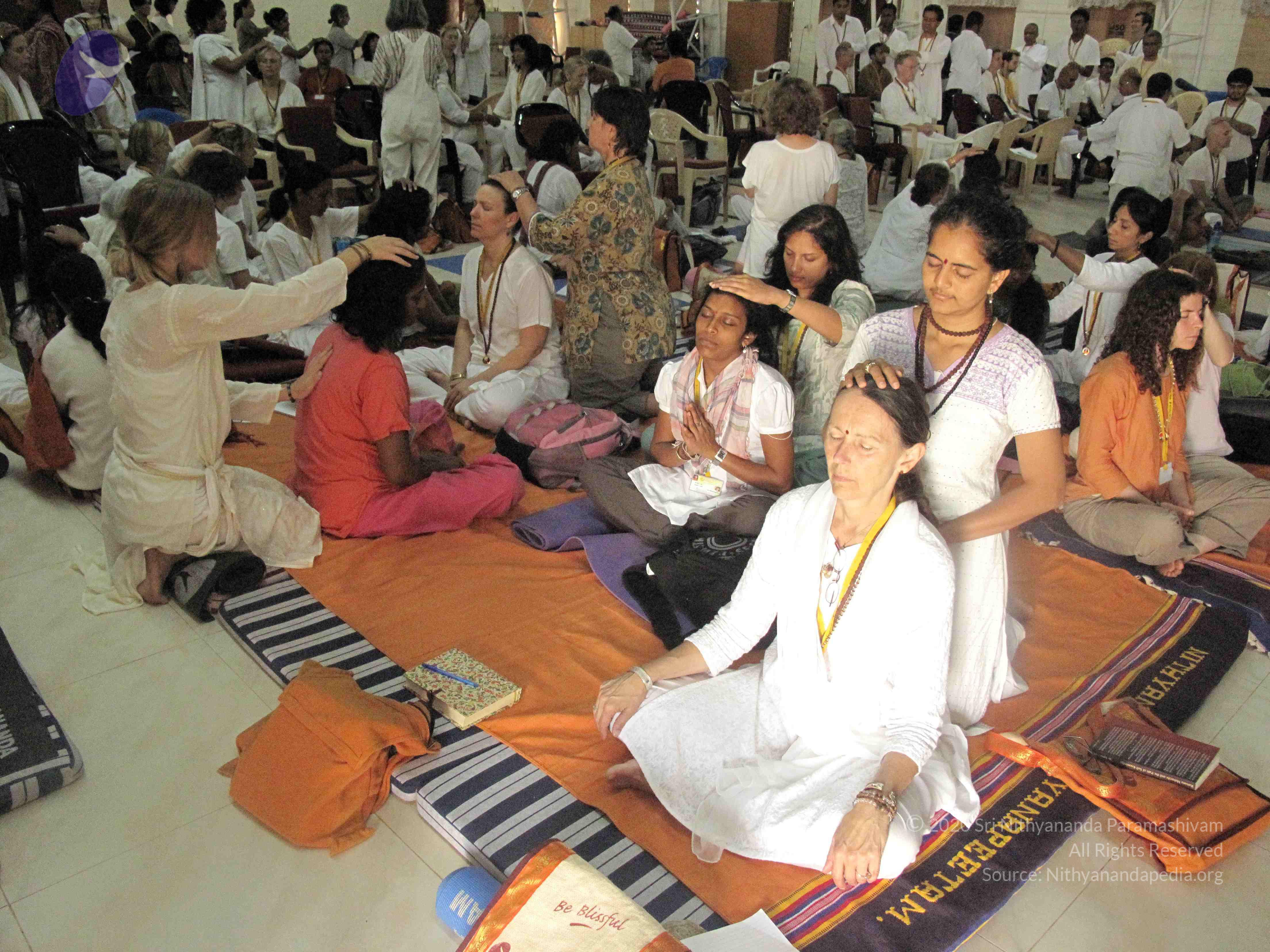 20100113_Photo_1034_IMG_2604_CMP_WM